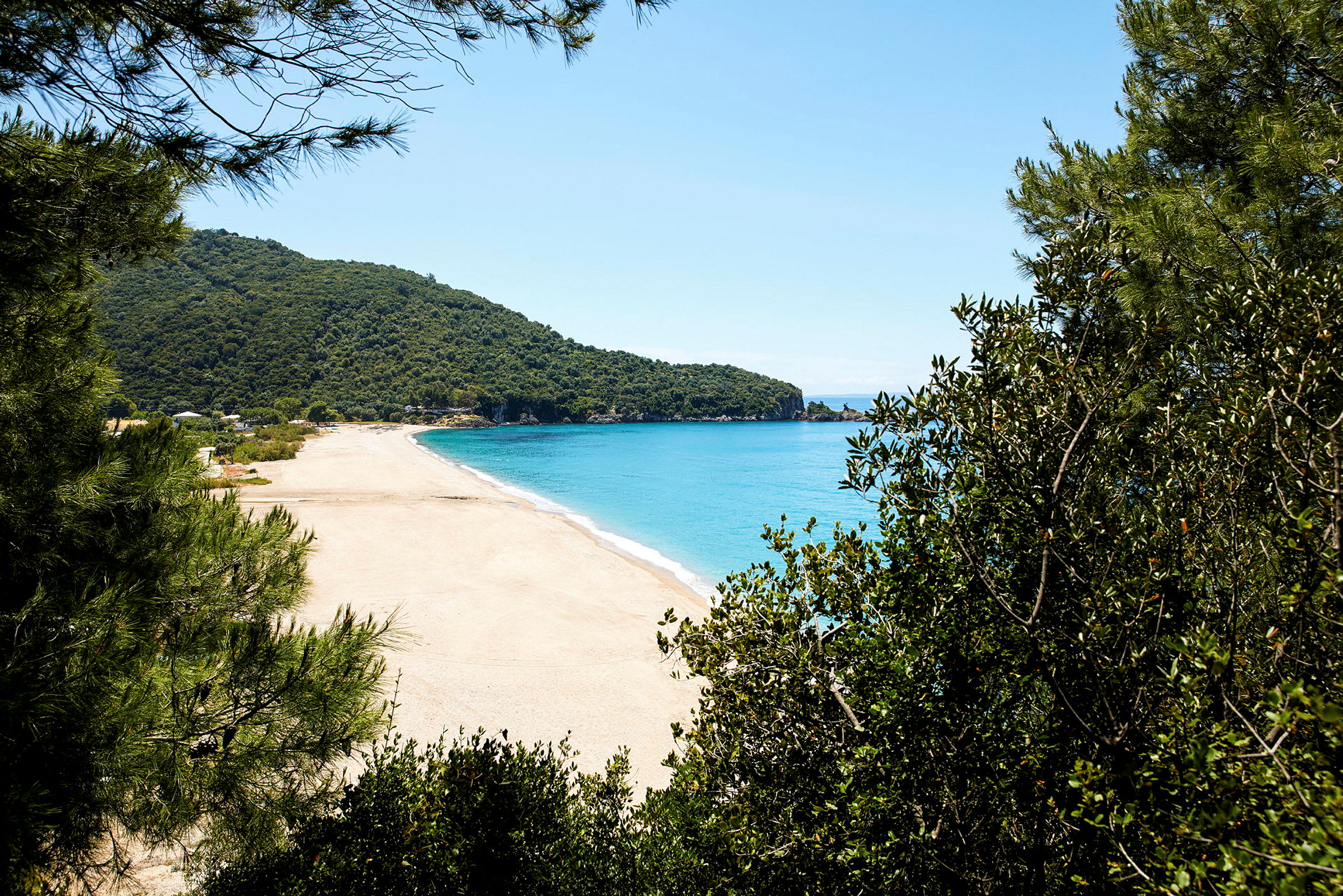 En sandstrand med turkost vatten, omgiven av grönska och skog. (AI-genererad text)