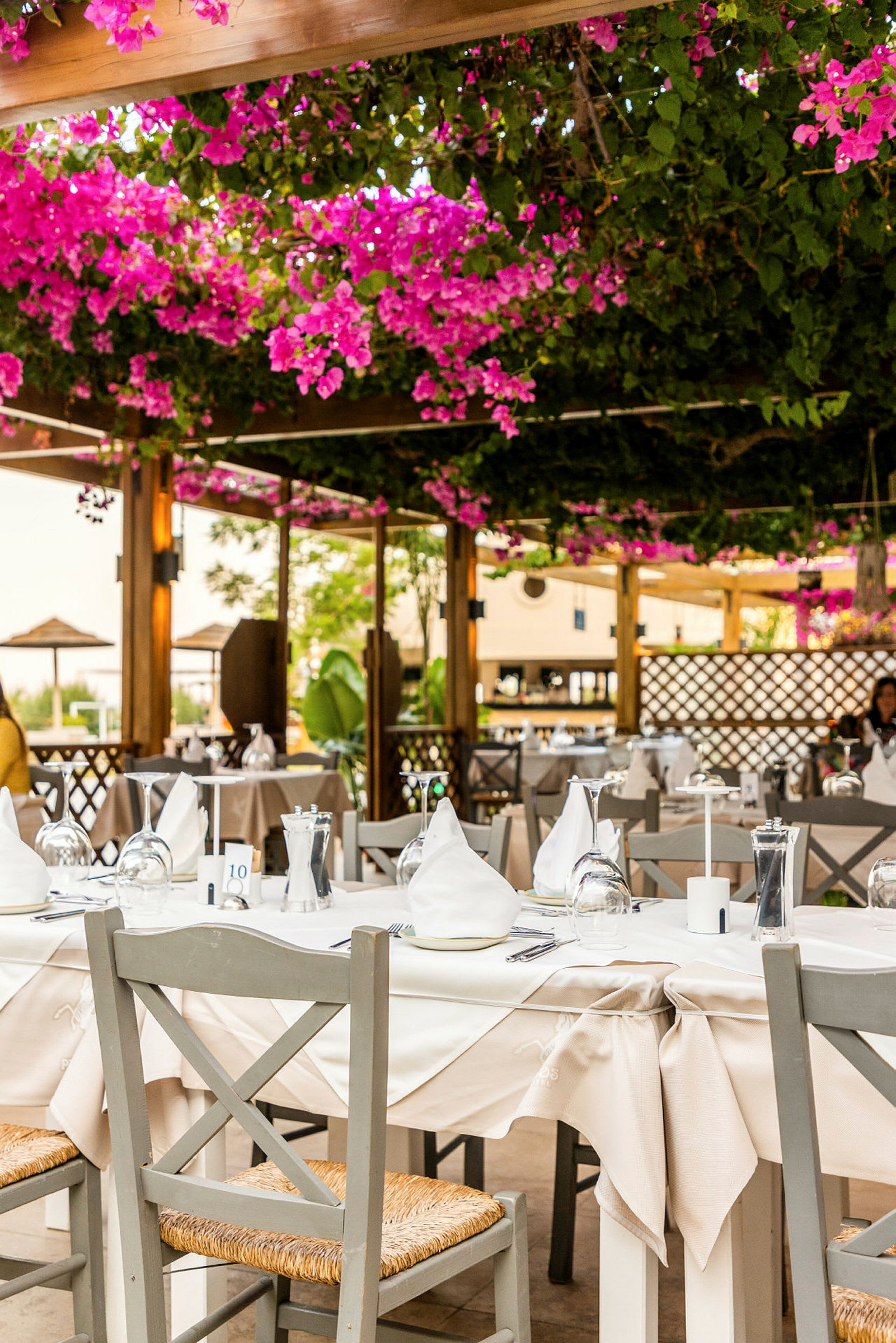 En utomhusrestaurang med bord täckta med vita dukar och omgivna av bougainvillea-blommor som hänger från taket. (AI-genererad text)