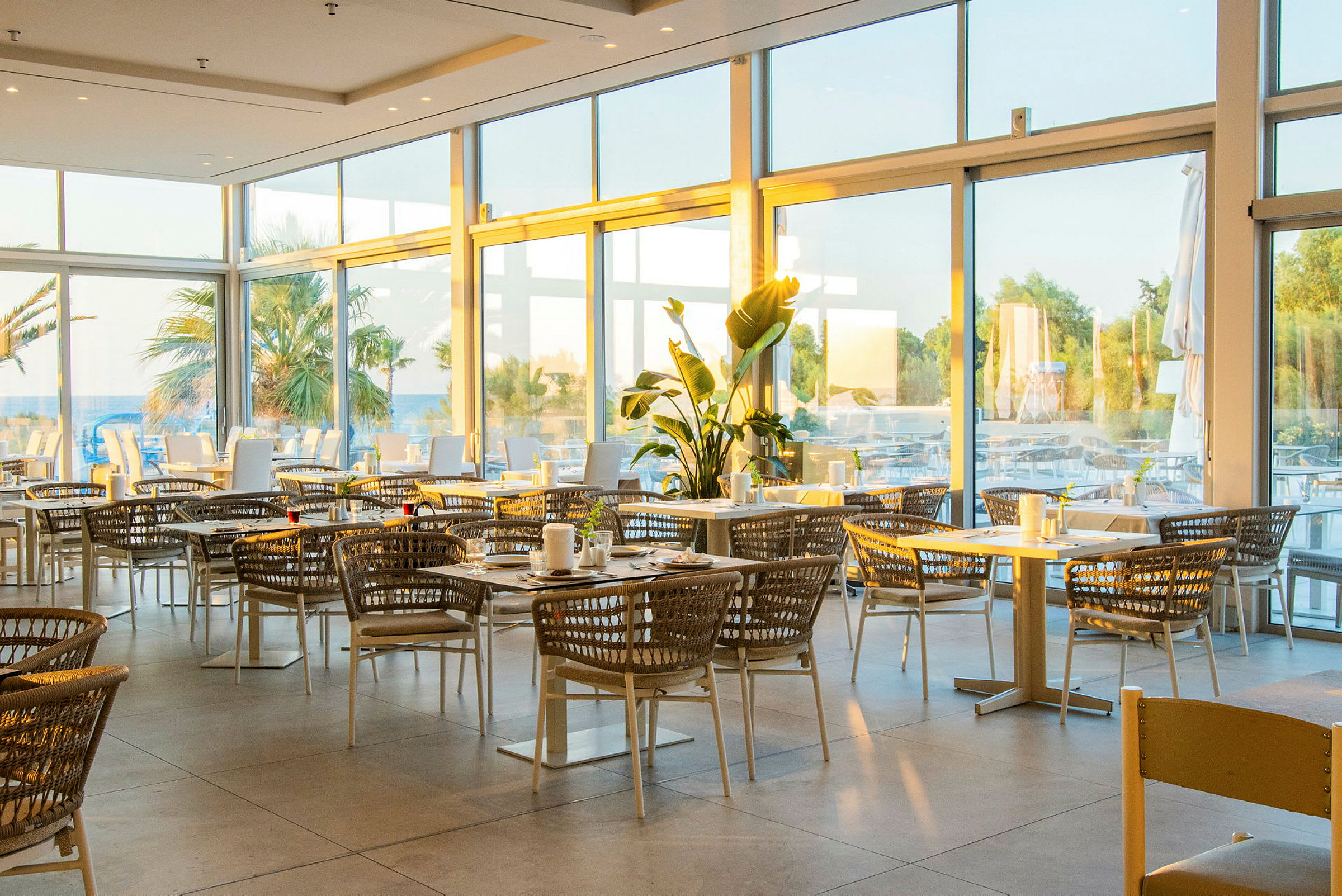 En modern restaurang med fönster från golv till tak som vetter mot en utomhusterrass med palmer i bakgrunden. (AI-genererad text)
