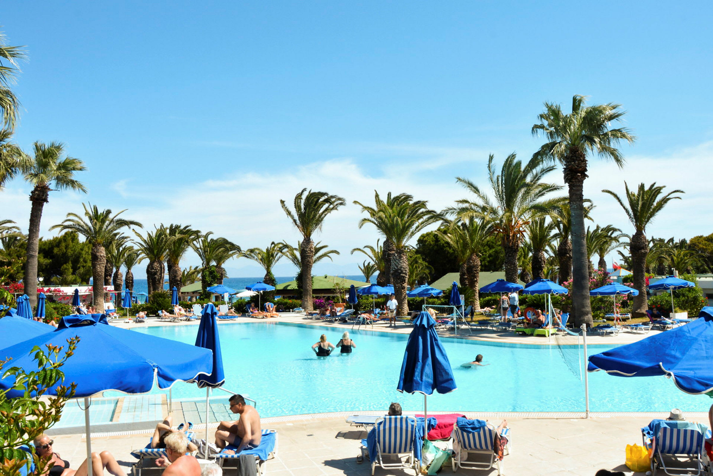 En pool omgiven av solstolar och parasoller med utsikt över palmer och havet i bakgrunden. (AI-genererad text)