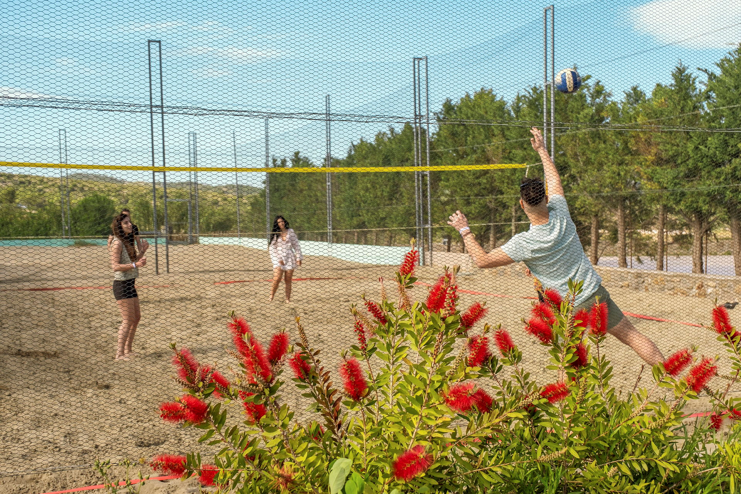 Personer spelar volleyboll på en sandplan med en blommande buske i förgrunden. (AI-genererad text)