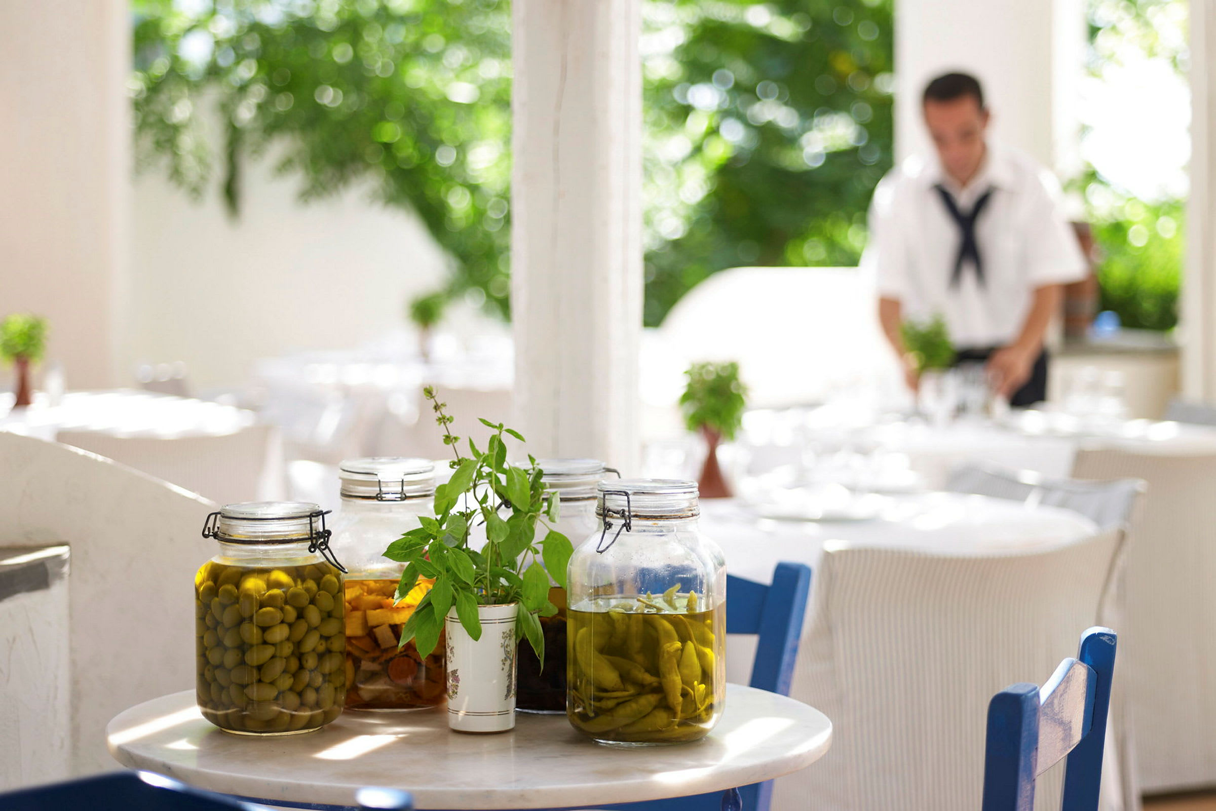 Glasburkar med inlagda grönsaker och en örtplanta står på ett bord. (AI-genererad text)