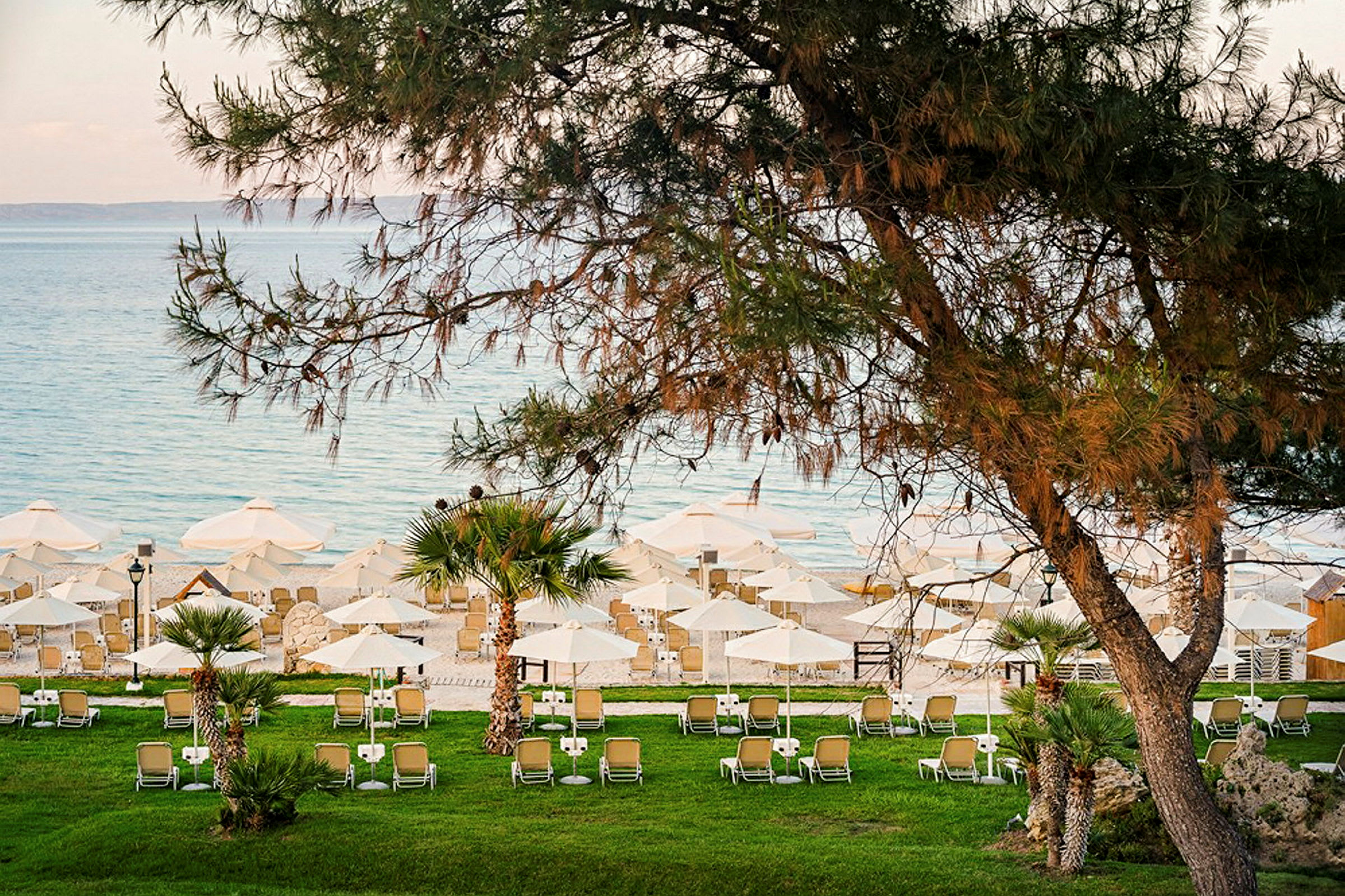 Bild av solstolar och parasoll uppställda på en grön gräsmatta vid stranden med havet i bakgrunden. (AI-genererad text)