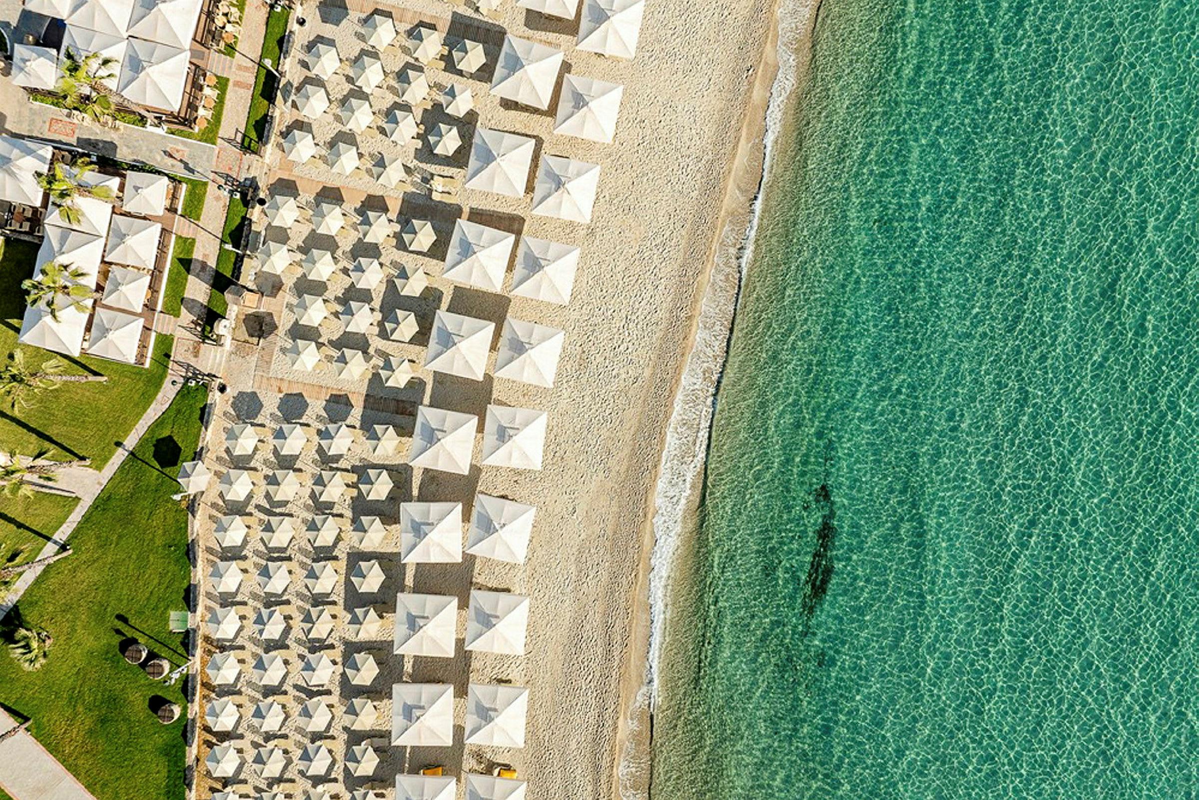 Flygbild av en strand med solparasoller i rader och klart turkost vatten. (AI-genererad text)