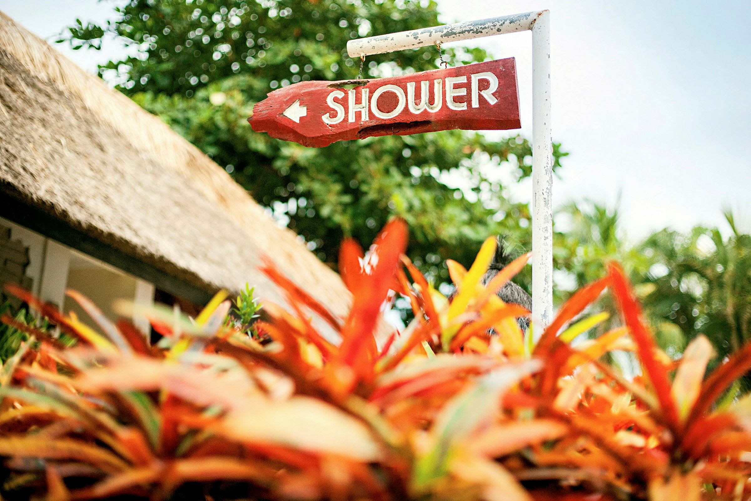 En skylt med texten "Shower" pekar i en riktning, omgiven av livliga växter och ett halmtaktak i bakgrunden. (AI-genererad text)