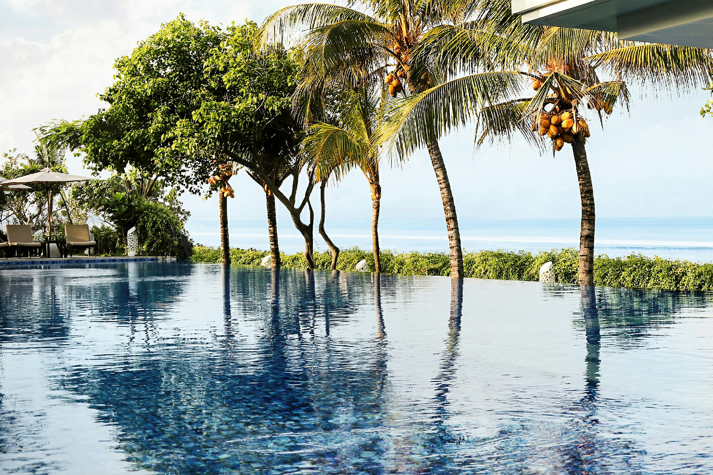En infinitypool med utsikt över havet och omgivande palmer. (AI-genererad text)
