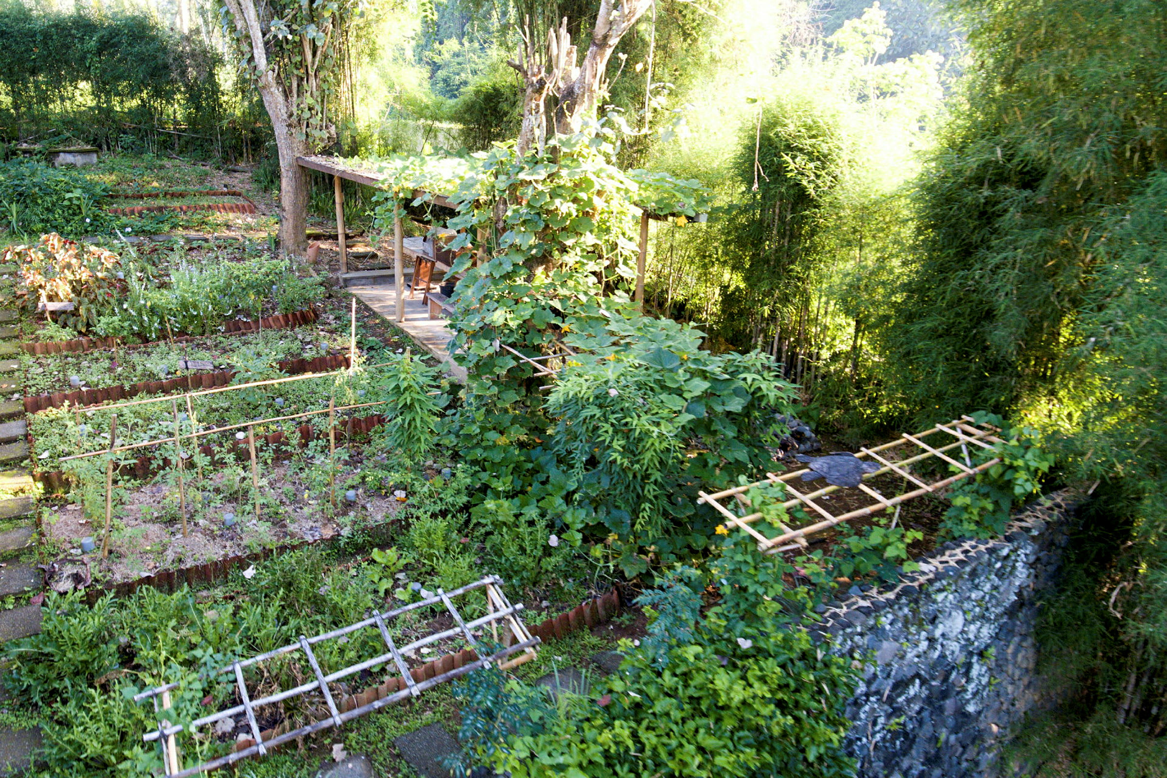 En grönskande trädgård med olika odlingsbäddar, ramverk och växter, omgiven av tät vegetation. (AI-genererad text)