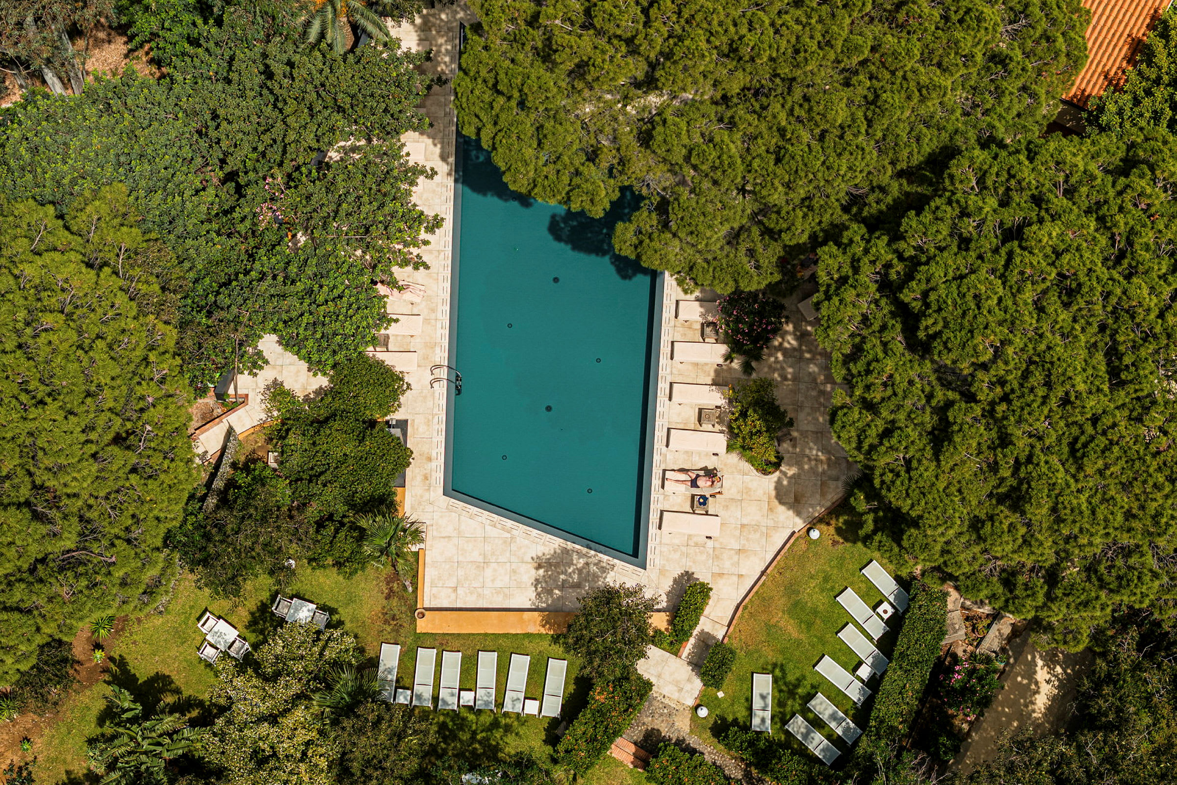 En rektangulär pool omgiven av gröna träd och solstolar, sedd ovanifrån. (AI-genererad text)