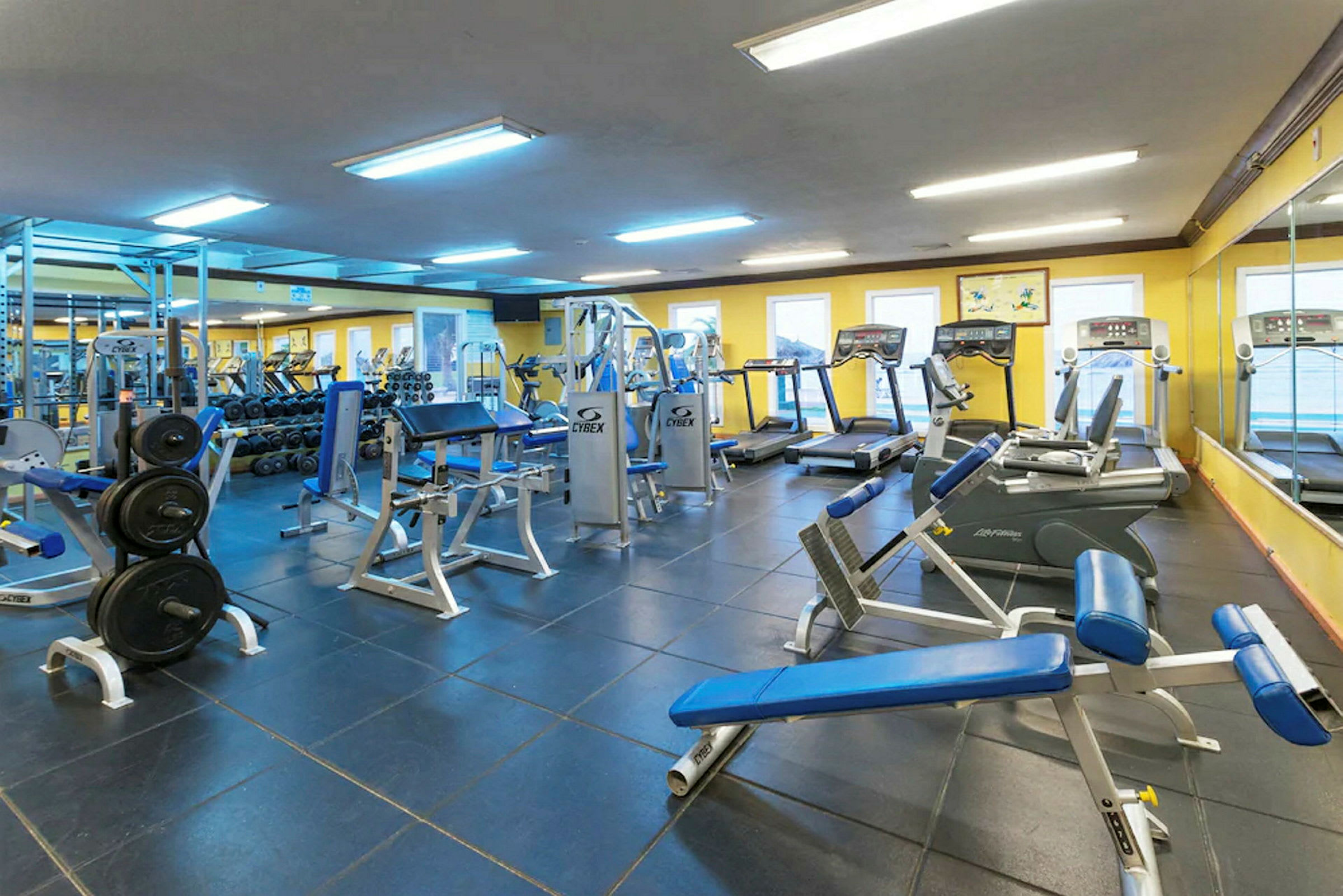 Ett gym med träningsmaskiner, bänkar och vikter. (AI-genererad text)