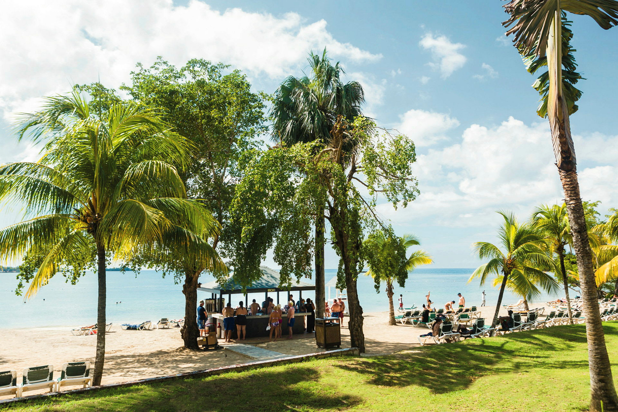 Tropisk strand med palmer, solstolar och en liten bar vid havet. (AI-genererad text)