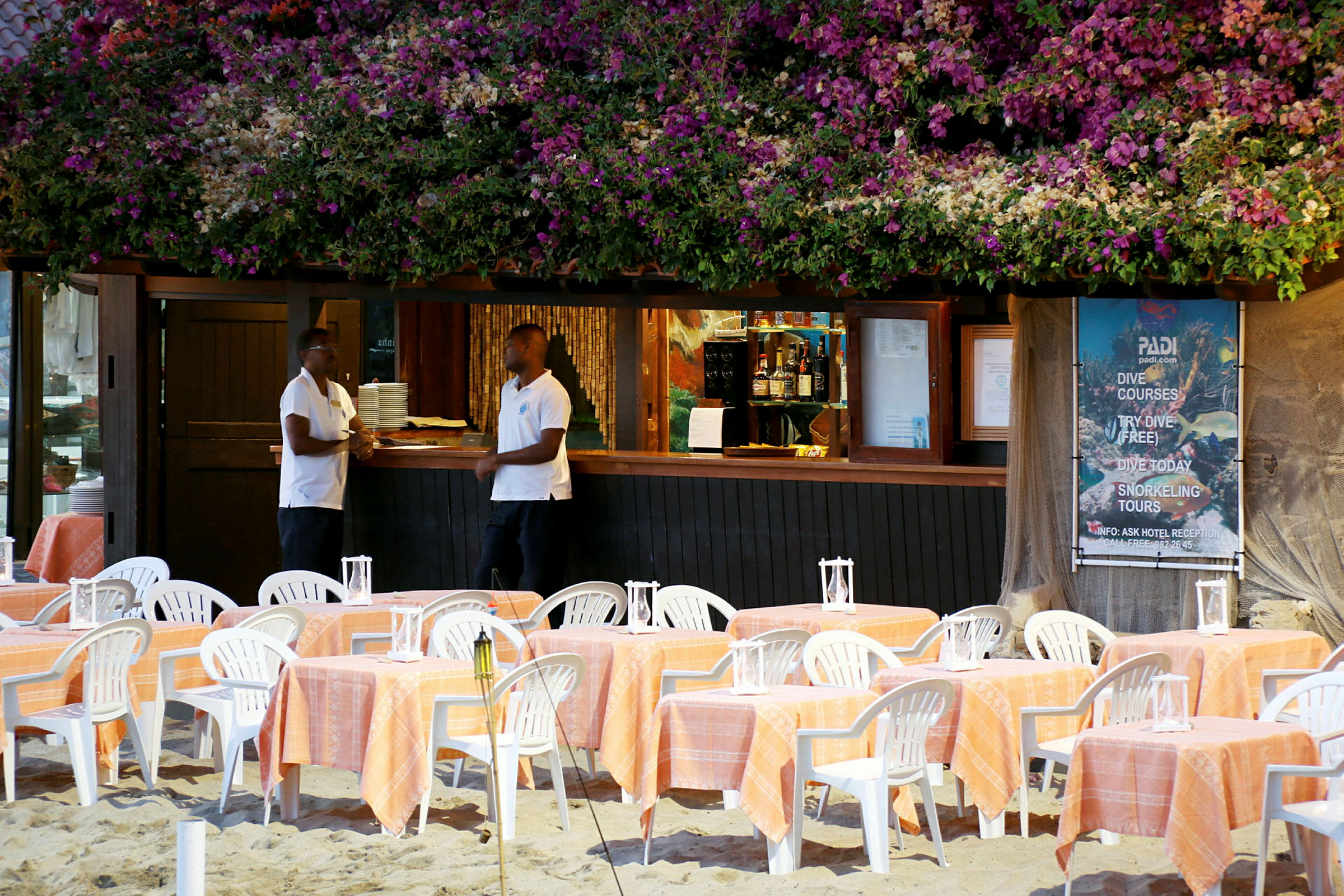 En bild av en strandrestaurang med bord och stolar med orange dukar, en bar under ett tak täckt av blommor och en affisch som annonserar dykkurser. (AI-genererad text)