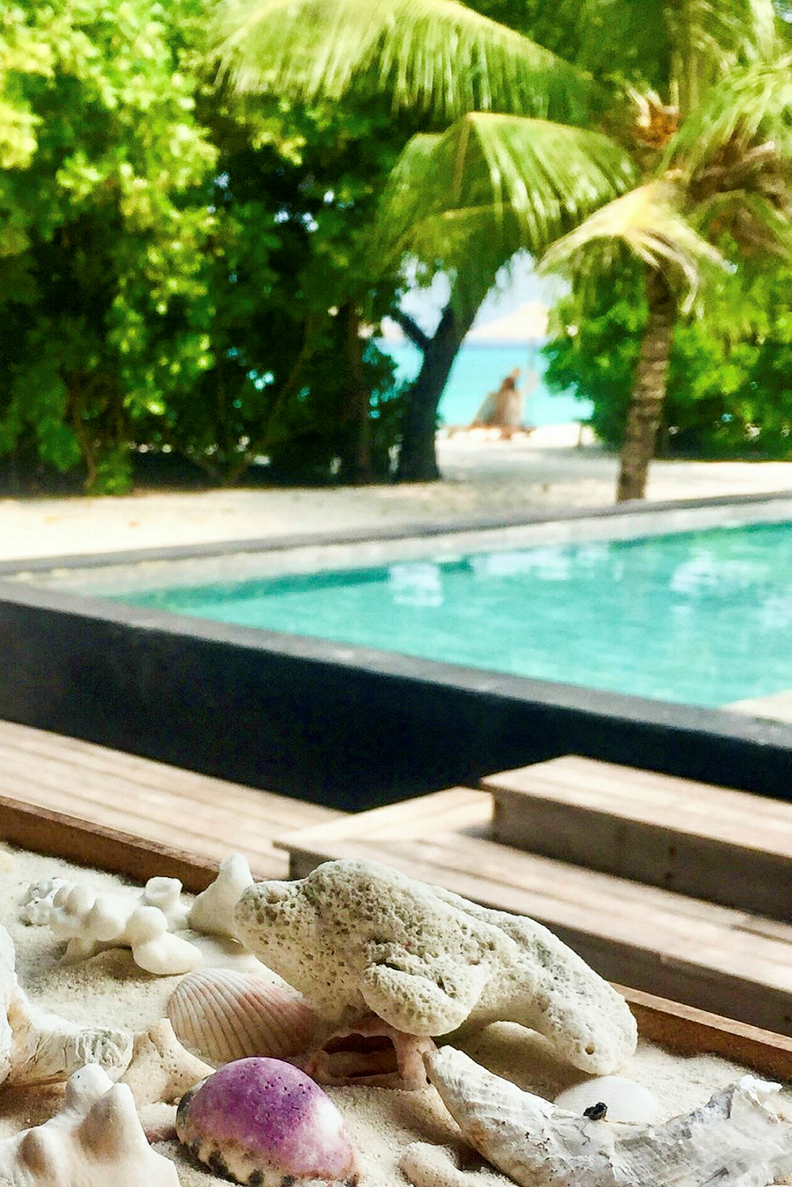 En vit sandlåda med snäckor i förgrunden, en pool i mitten och grönskande träd med palmer och hav i bakgrunden. (AI-genererad text)