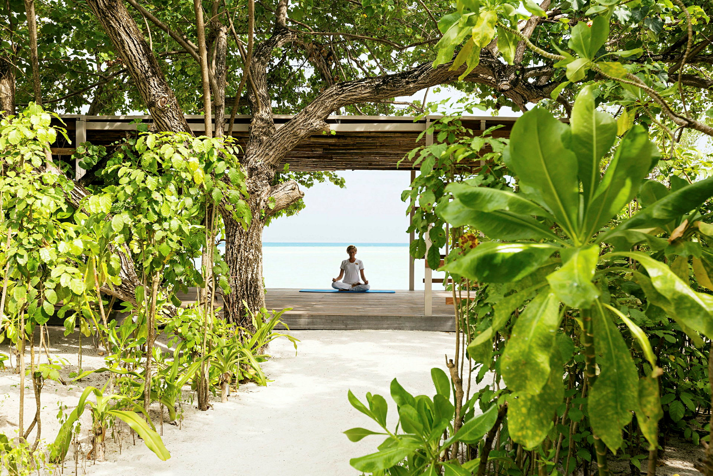 En person sitter i meditation på en plattform omgiven av tropiska växter och med utsikt över havet. (AI-genererad text)
