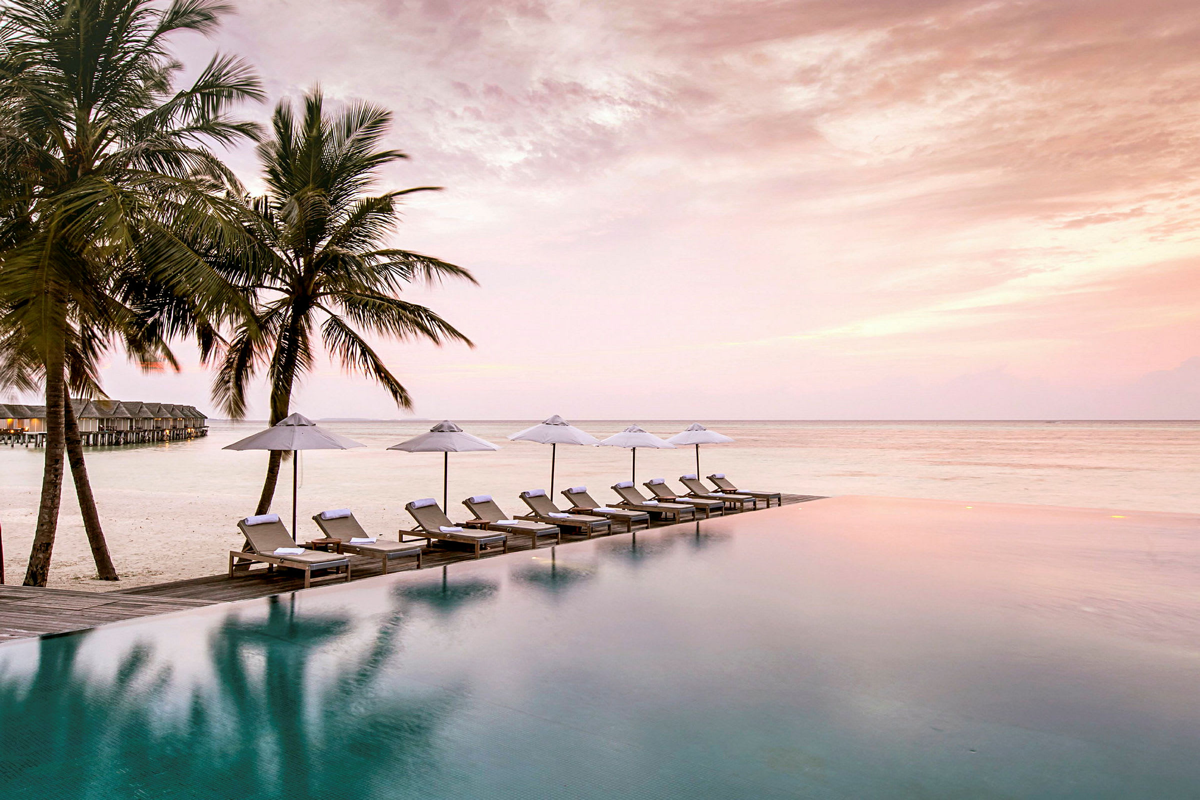 En infinitypool vid stranden omgiven av solsängar och parasoller, med palmer och stugor i bakgrunden och en rosa himmel. (AI-genererad text)