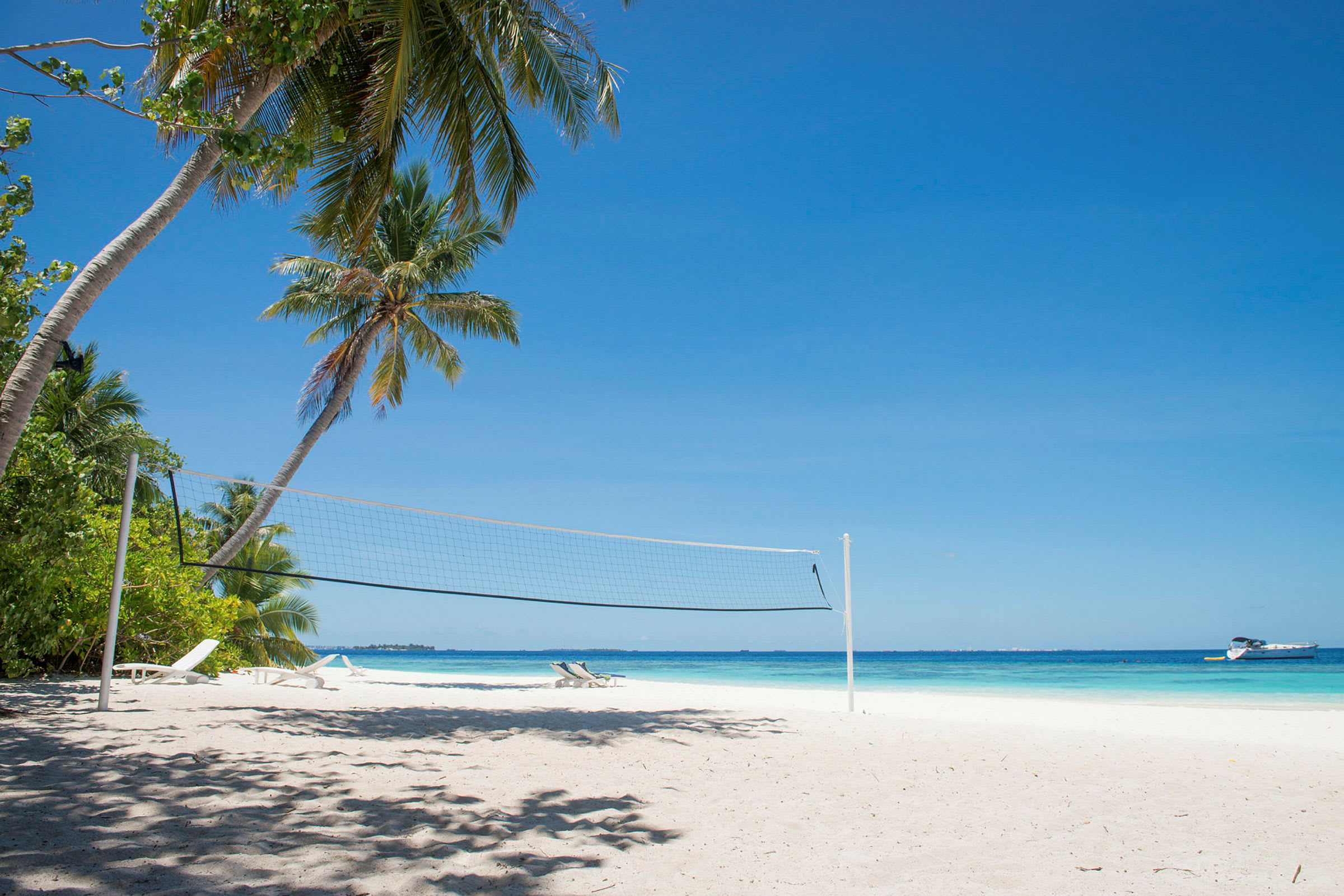 Strand med volleybollnät, palmer i bakgrunden och blick över havet. (AI-genererad text)