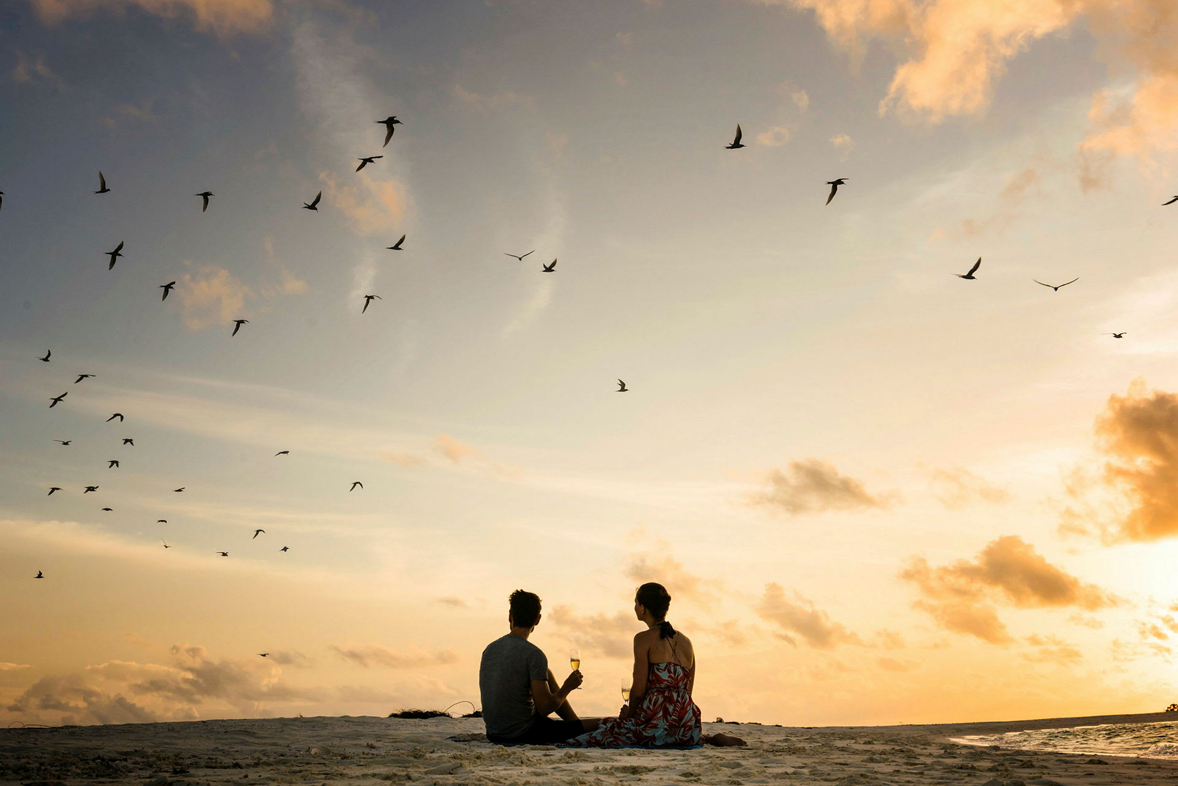 Två personer sitter på en strand vid solnedgången och tittar på fåglar som flyger på himlen. (AI-genererad text)