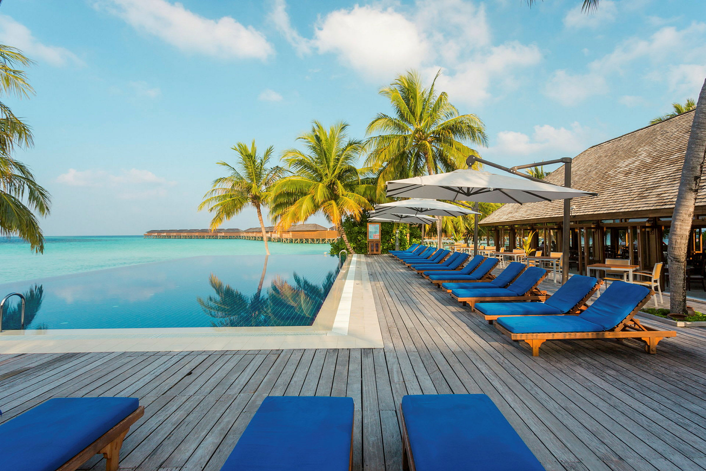 Bild av en infinitypool vid havet omgiven av solstolar och parasoller, med palmer i bakgrunden. (AI-genererad text)