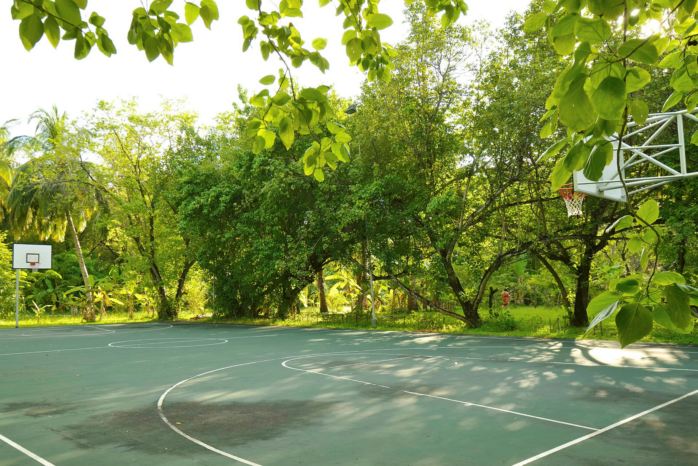 Basketplan i en lummig trädgård. (AI-genererad text)
