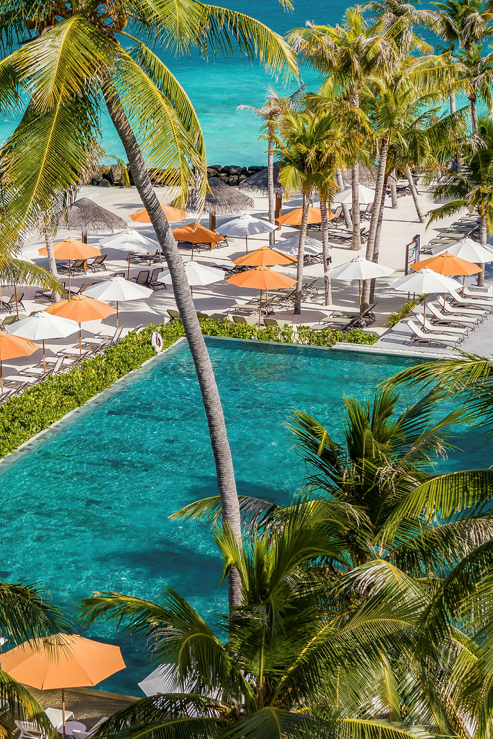 En pool omgiven av palmer och solstolar med orange och vita parasoller vid en strand. (AI-genererad text)