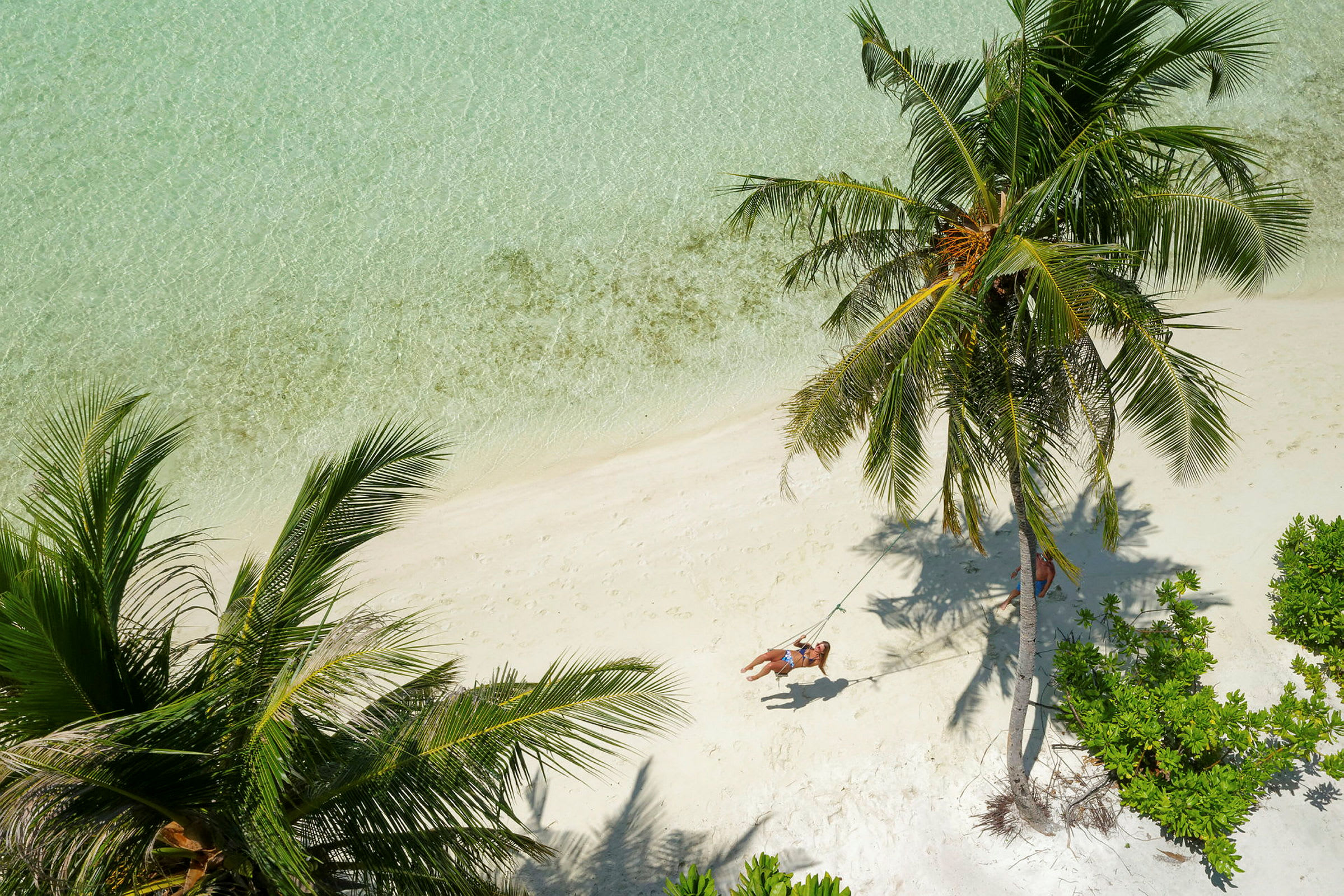 En kvinna gungar på en repgunga hängande från en palm vid en strand med klart vatten. (AI-genererad text)