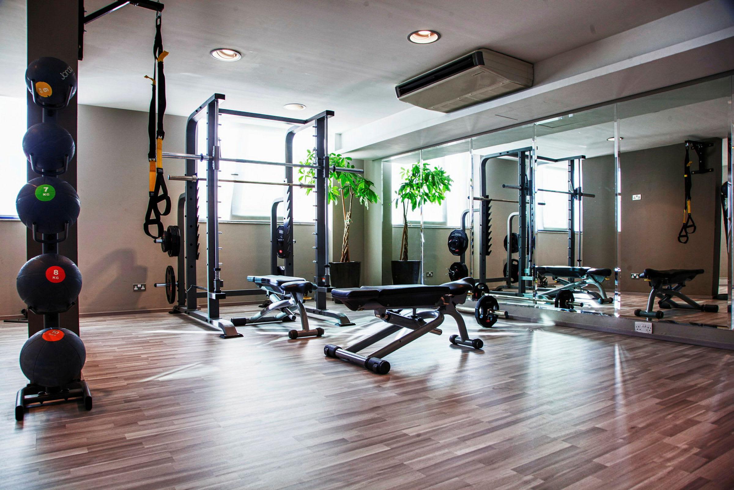 Ett gym med träningsutrustning, inklusive bänkar, medicinbollar och stångställningar. Väggar har speglar och det finns gröna växter. (AI-genererad text)