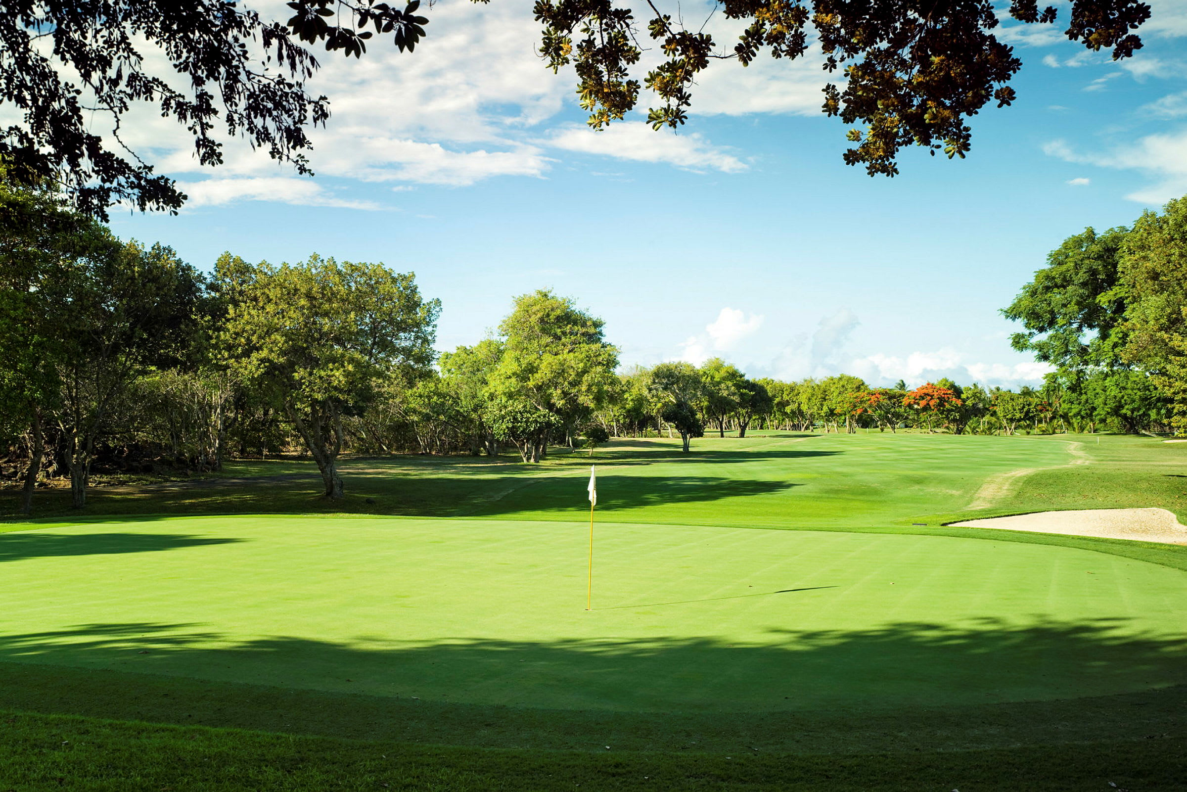 En golfbana med gröna fairways och omgivande träd. (AI-genererad text)