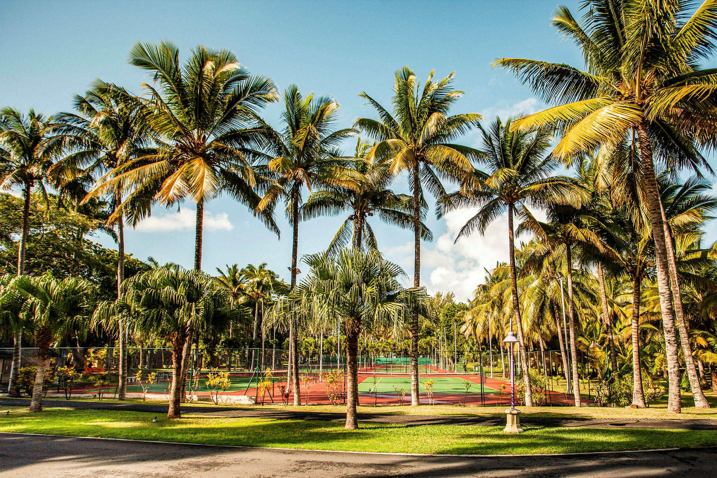 Tennisbanor omgivna av palmer med klar himmel ovanför. (AI-genererad text)