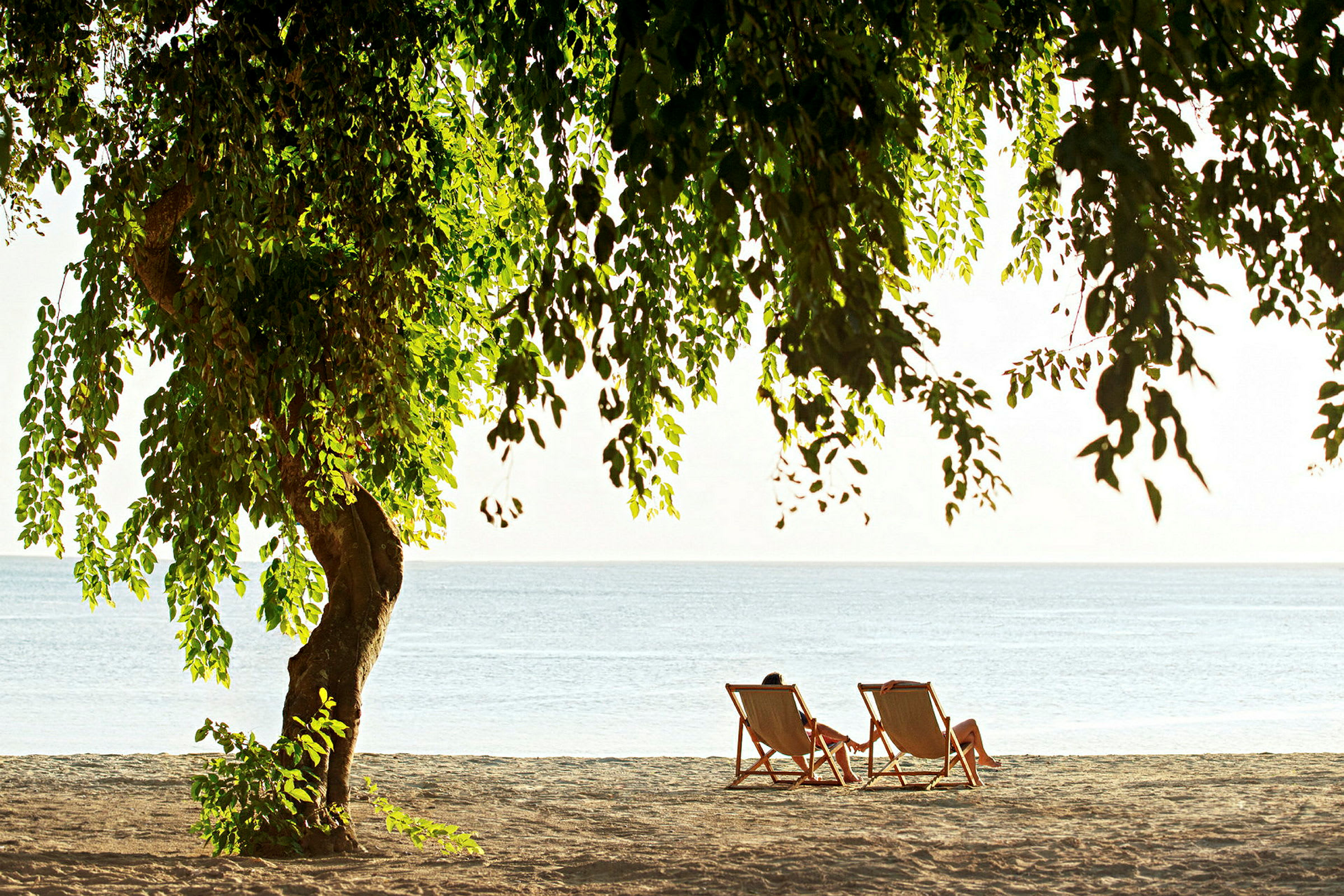 Två solstolar står på en strand med utsikt över havet, delvist skuggade av ett träd. (AI-genererad text)