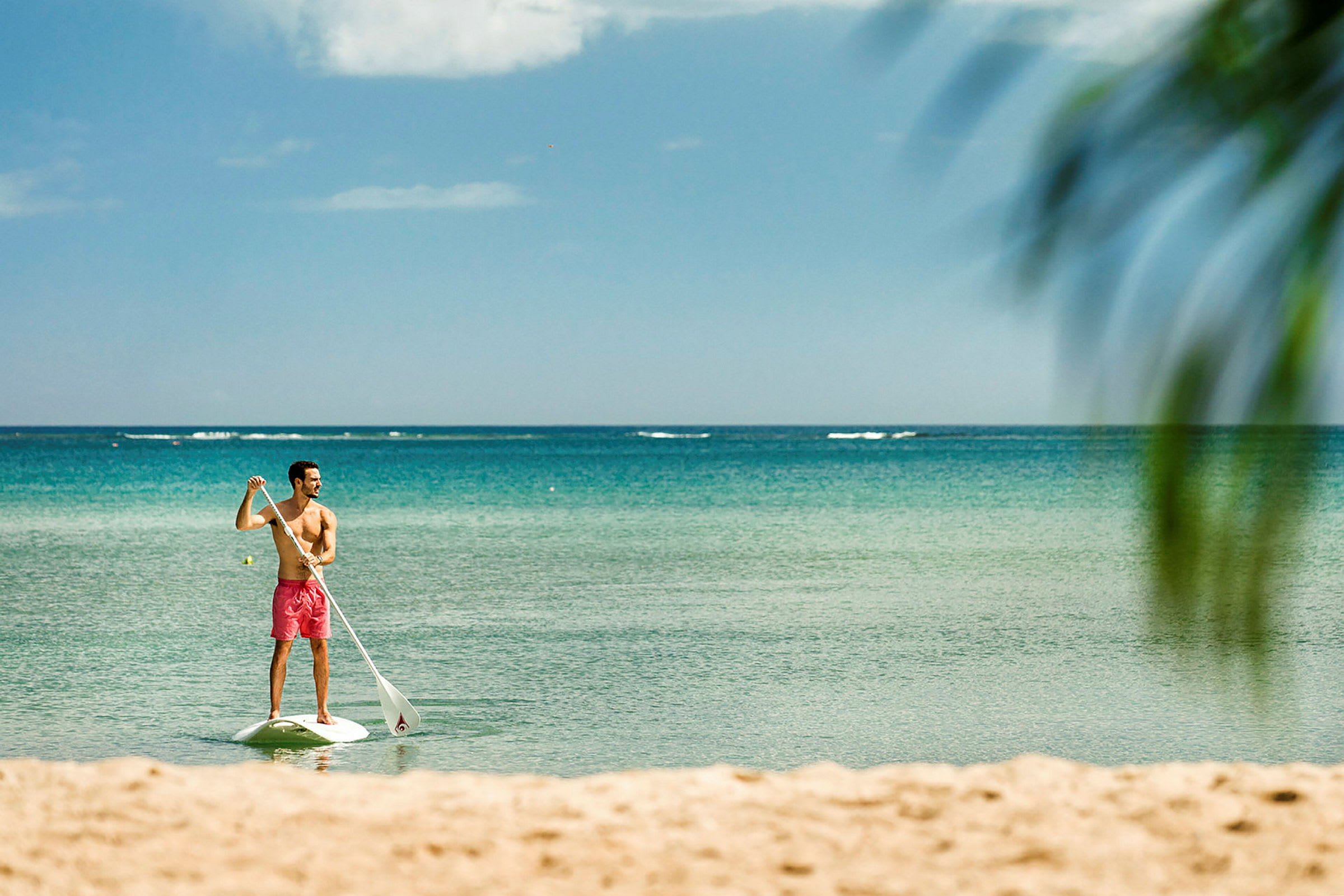 Person som paddlar på en stand up paddleboard i havet. (AI-genererad text)