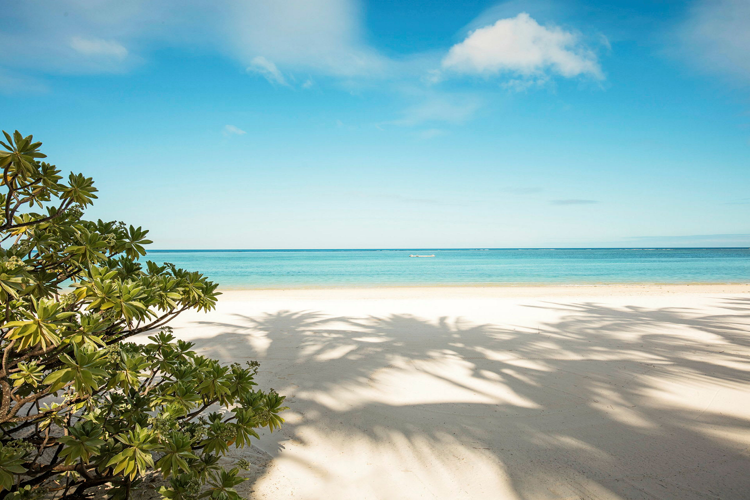 Strand med vit sand och blått hav, samt skuggor från palmer och en buske i förgrunden. (AI-genererad text)