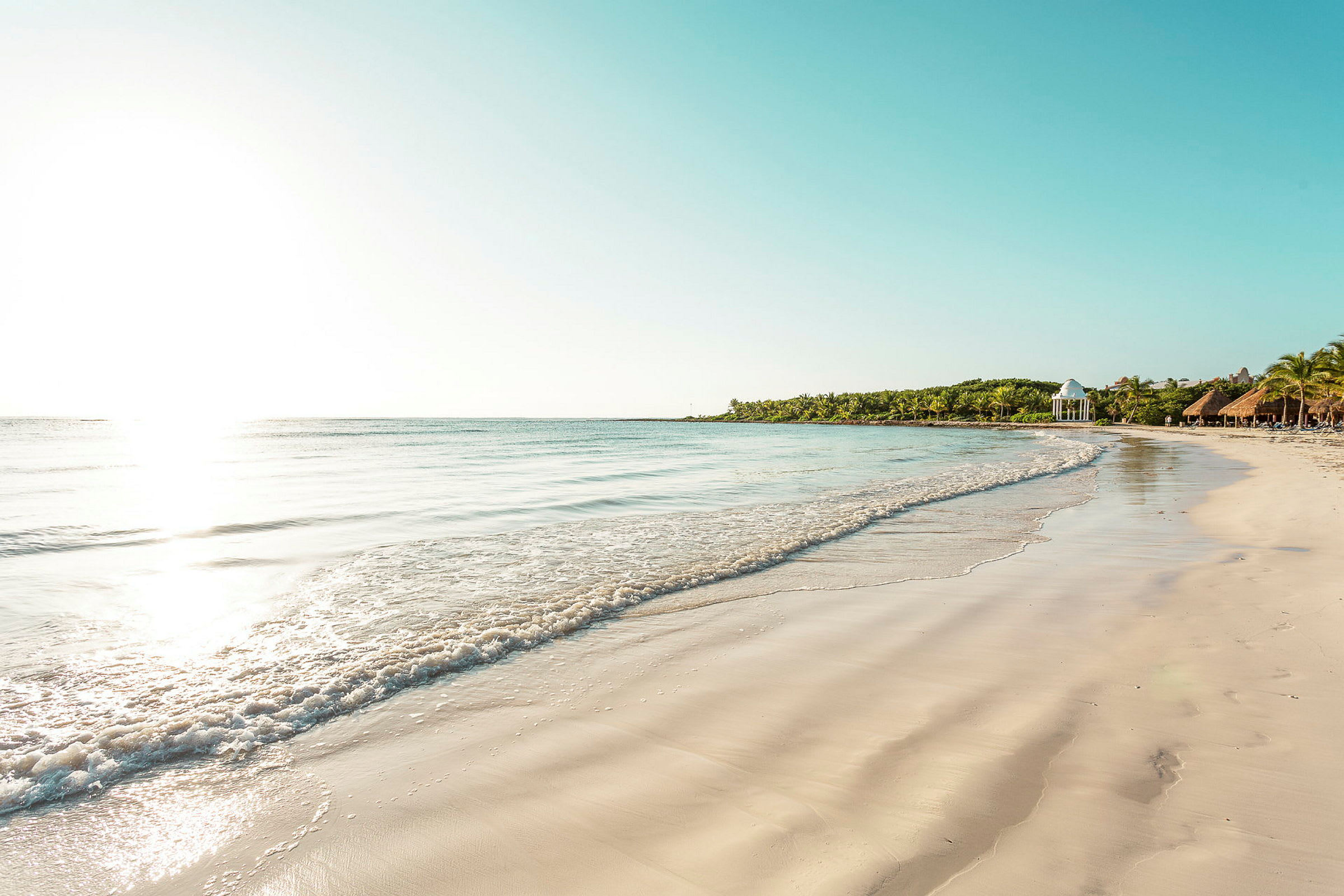 En sandstrand med vågor och palmer i bakgrunden, soligt väder. (AI-genererad text)
