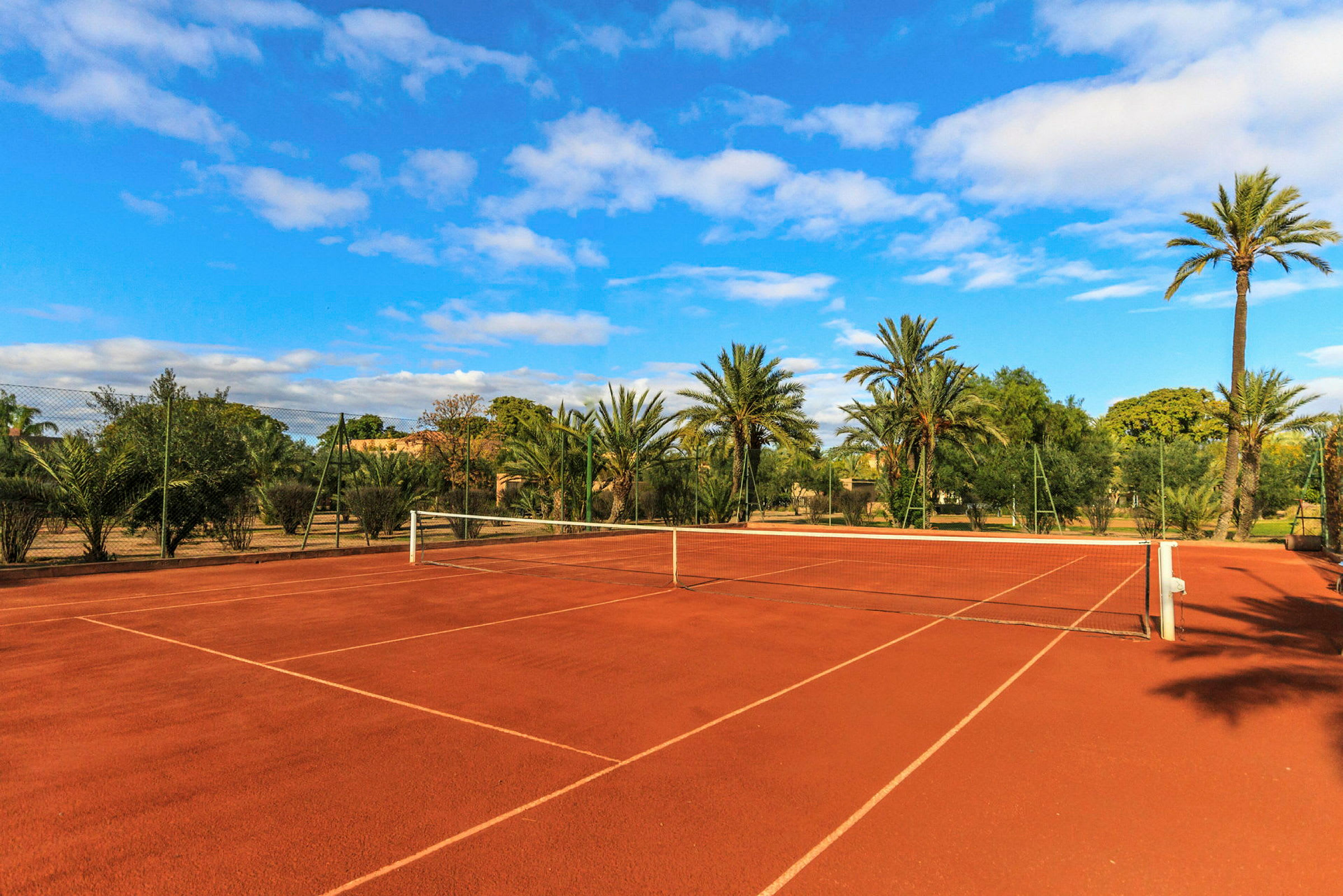 En tennisbana med röd mark omgiven av palmer och träd under en klarblå himmel. (AI-genererad text)