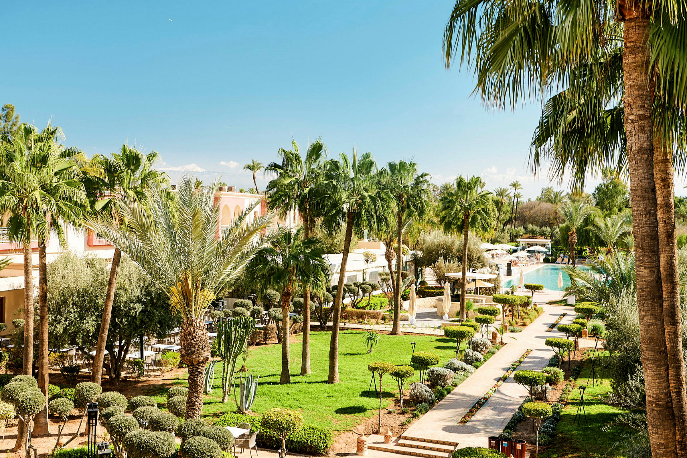 Hotellområde med palmträd, gräsmatta och en pool. (AI-genererad text)