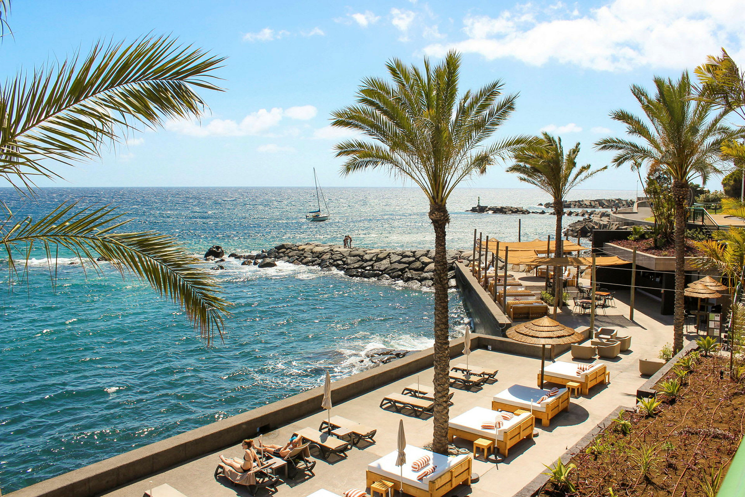 Vy från en poolterrass med solstolar och palmer mot havet och en liten marina. (AI-genererad text)