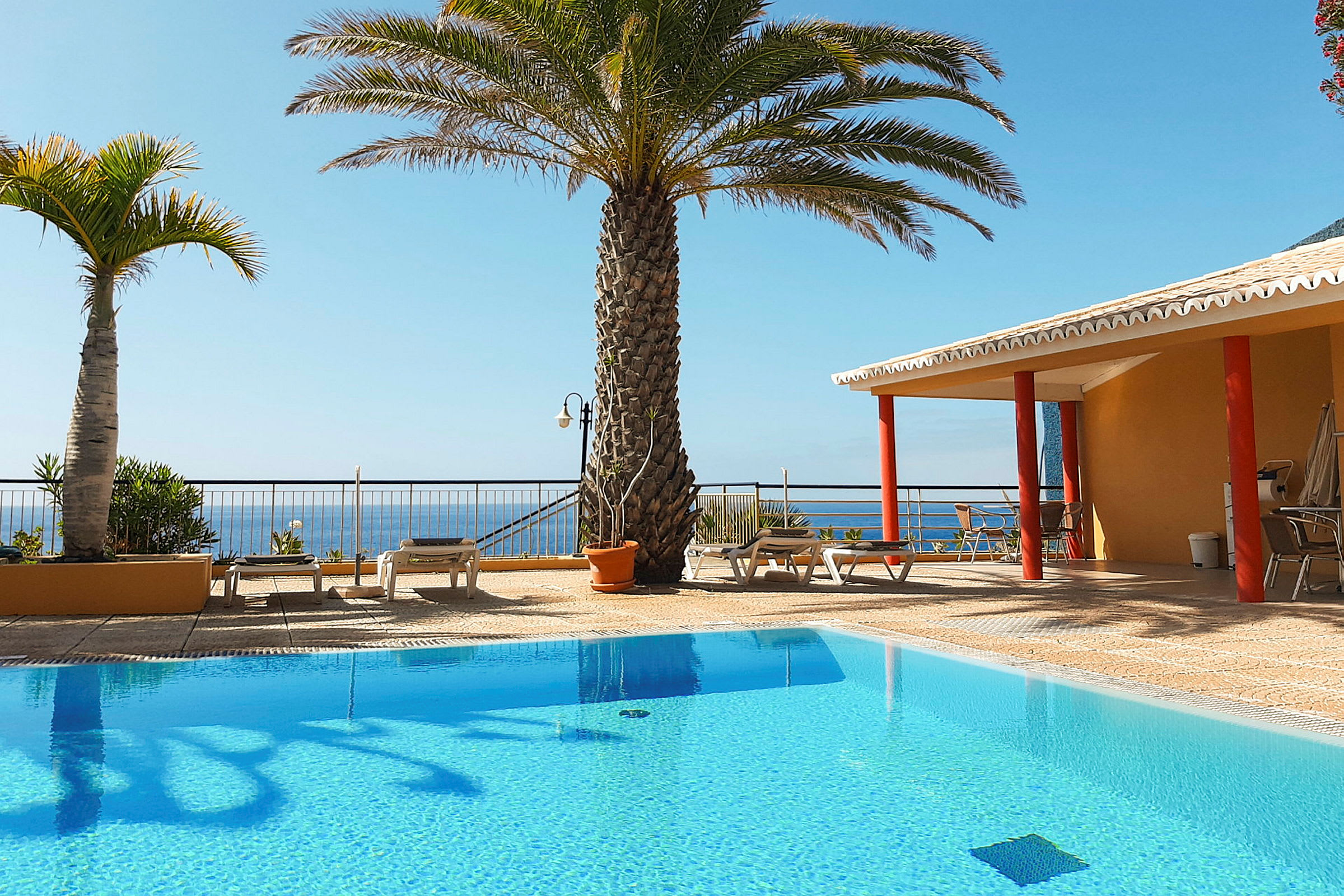 Pool med palmer och havsutsikt. (AI-genererad text)