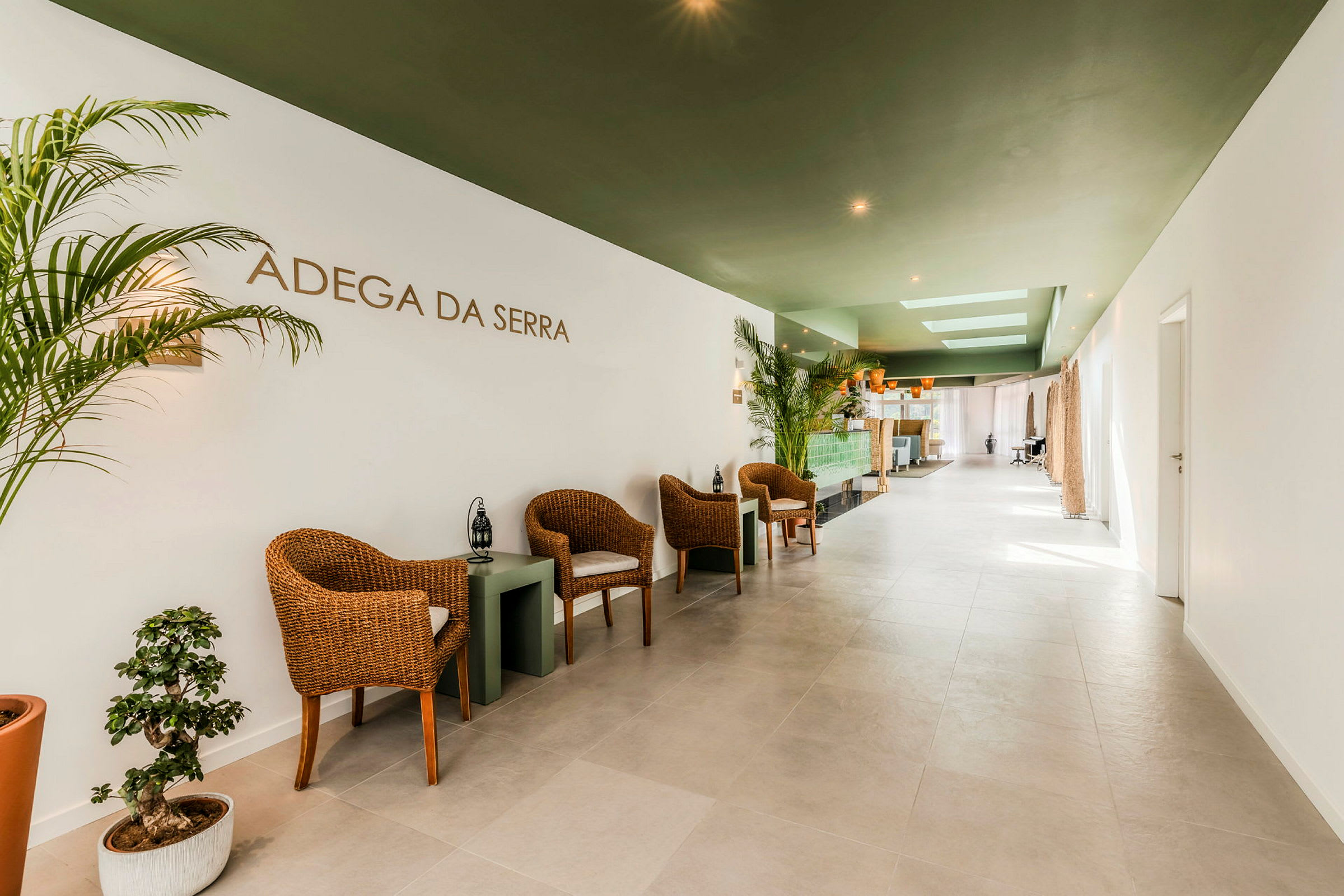 En modernt inredd lounge med rottingstolar och växter längs väggarna. (AI-genererad text)