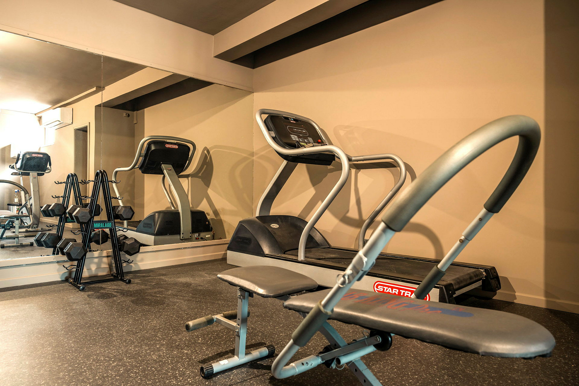 Bild av ett gym med träningsmaskiner och fria vikter. (AI-genererad text)