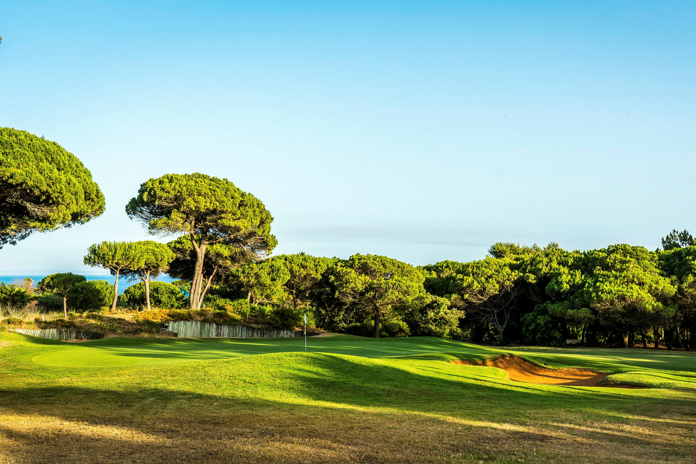 Bild av en golfbana med grönt gräs och omgivande träd. (AI-genererad text)
