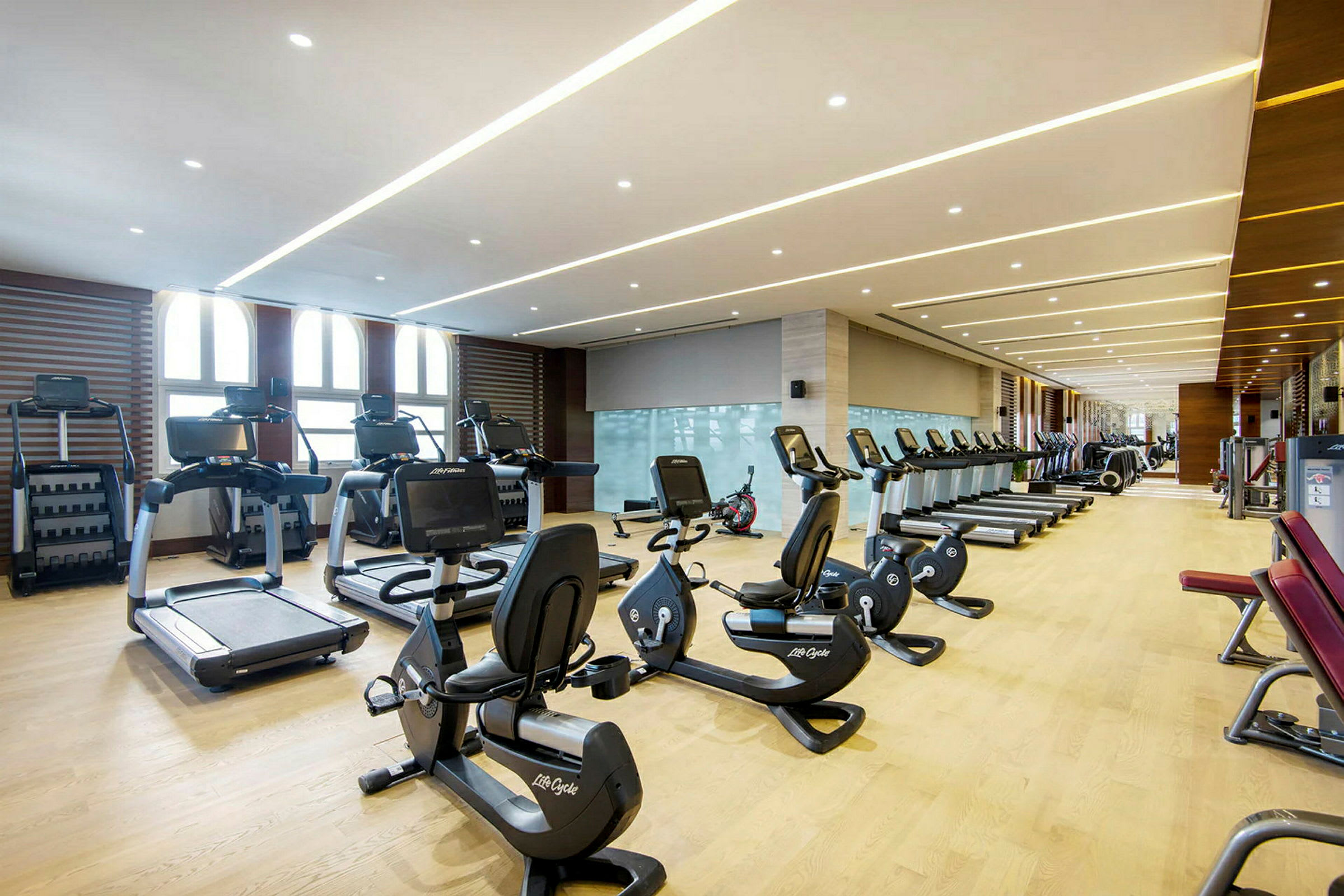 Ett fullt utrustat gym med moderna träningsmaskiner och rader av löpband och motionscyklar. (AI-genererad text)