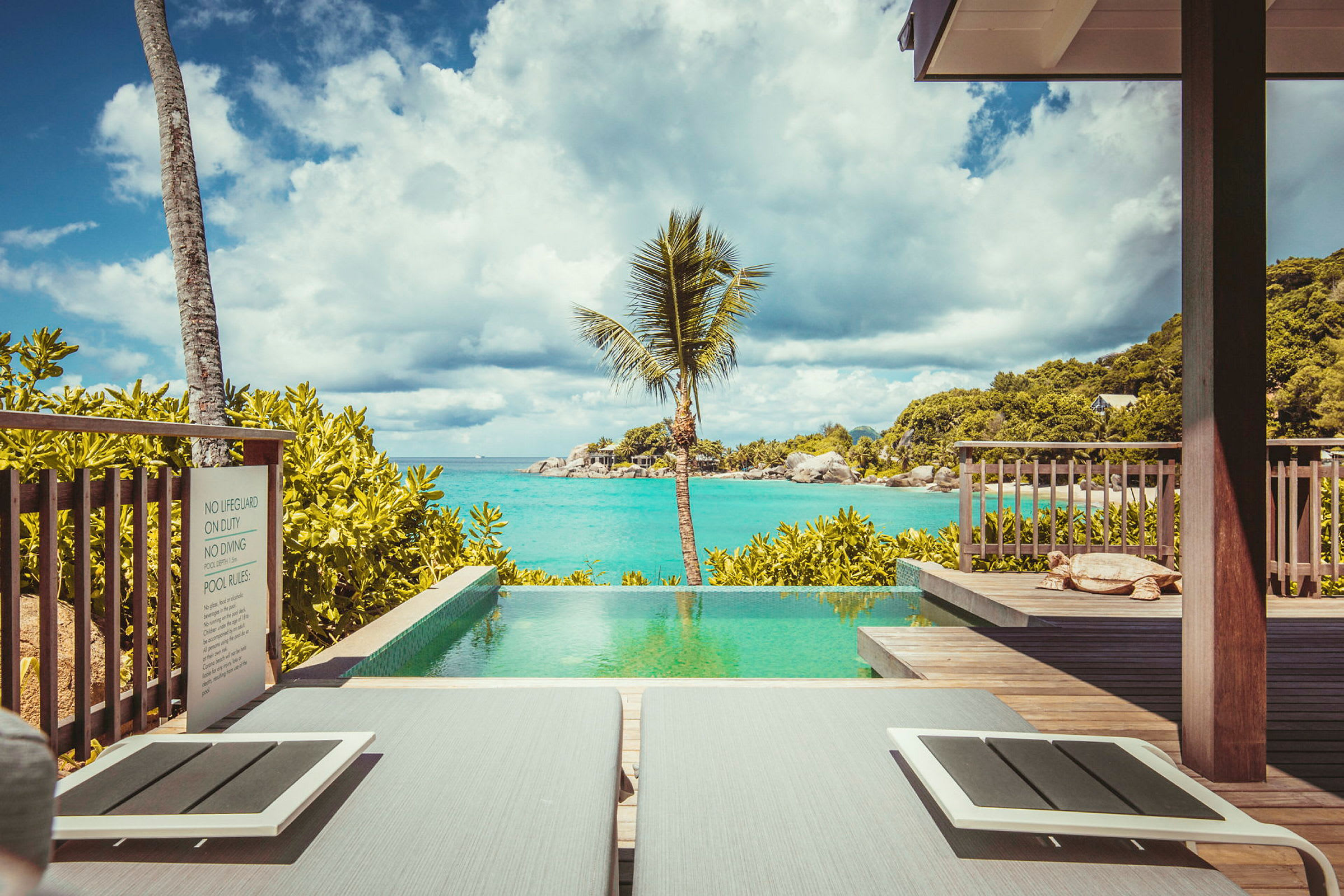 Bild av en infinitypool med utsikt över havet, omgivet av grönska och en palm. (AI-genererad text)