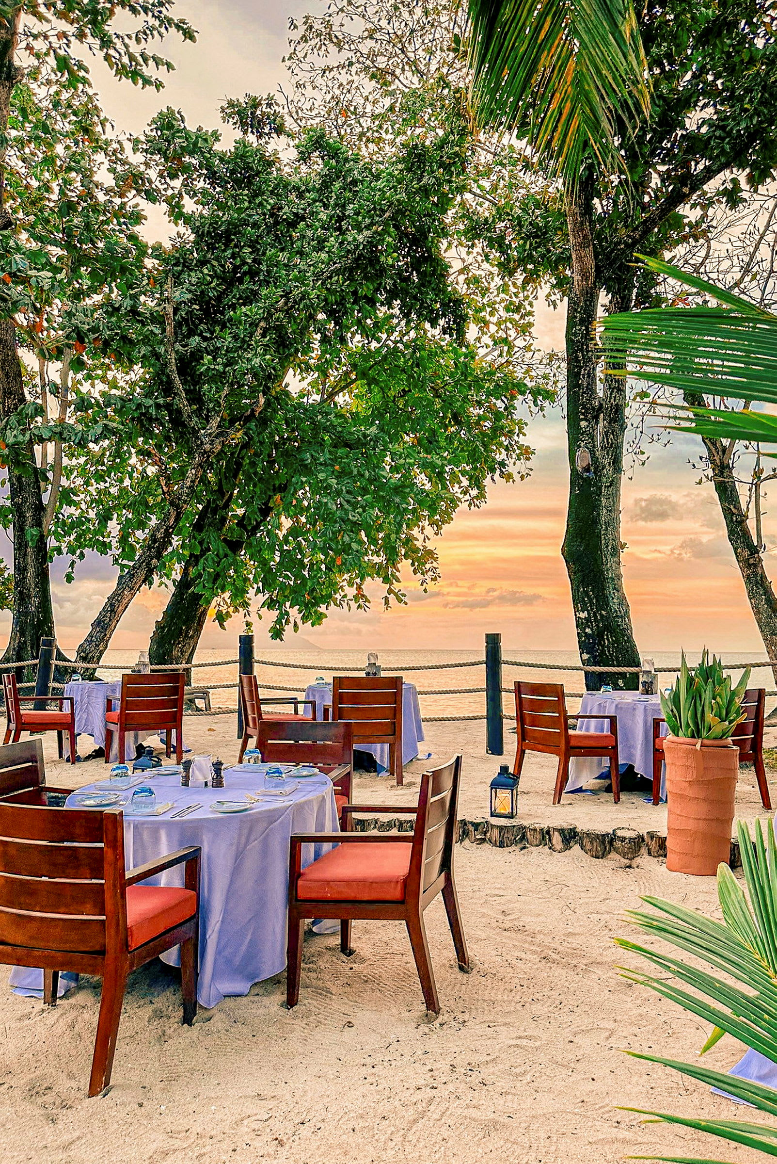 Utomhus restaurang med dukade bord på sand vid havet omgiven av träd. (AI-genererad text)
