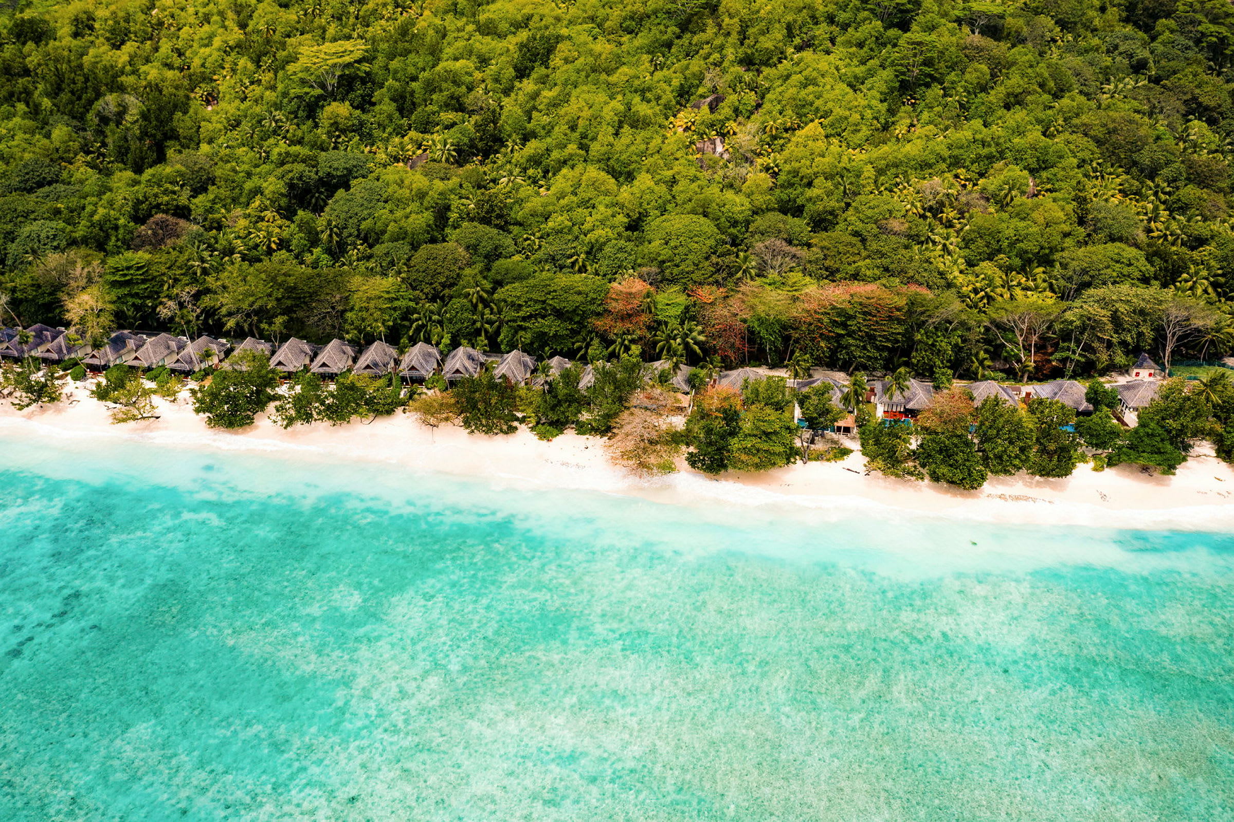 Flygfoto av strand och bungalows omgivna av frodig grönska. (AI-genererad text)
