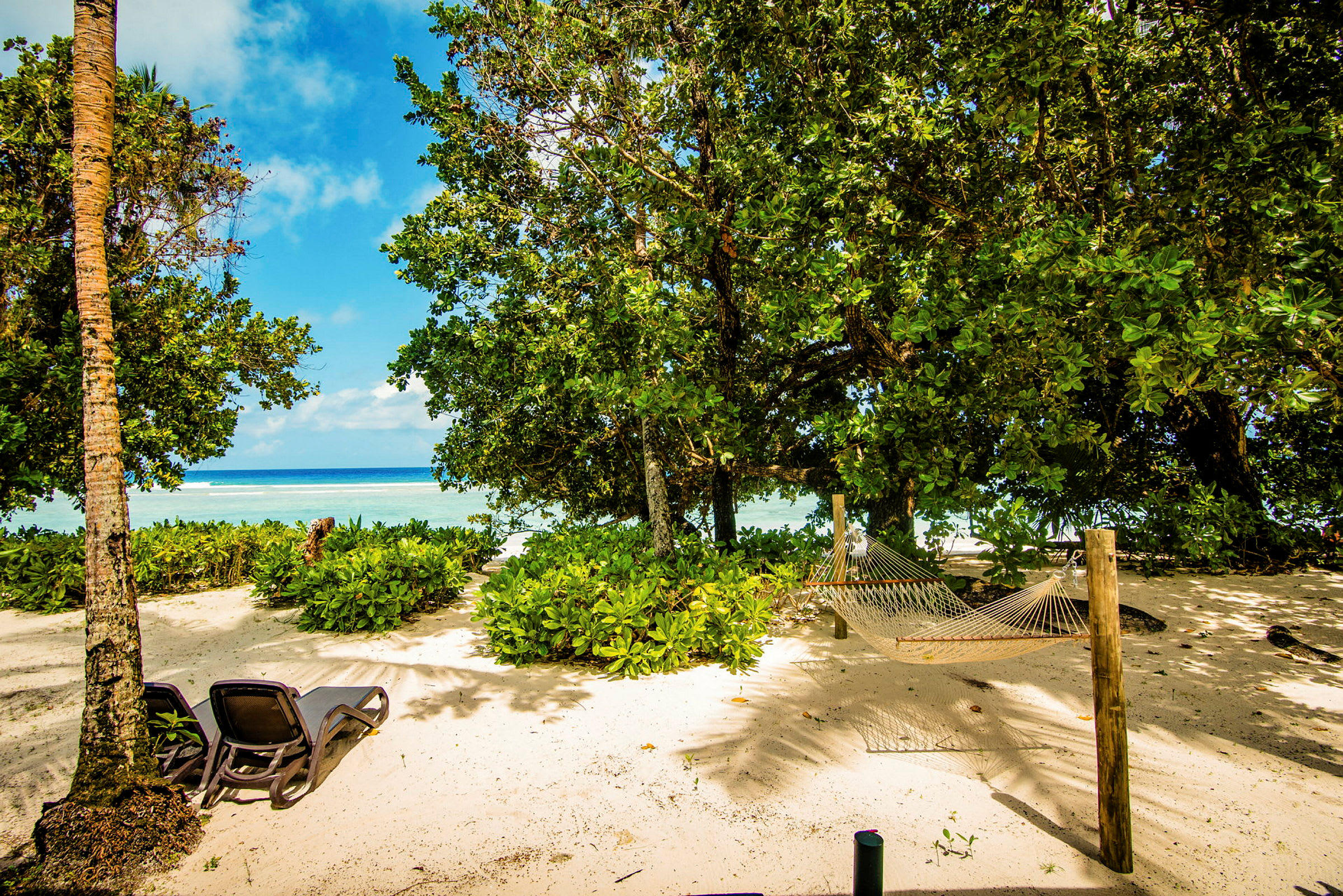 Strand med två solstolar och en hängmatta omgiven av gröna träd. (AI-genererad text)