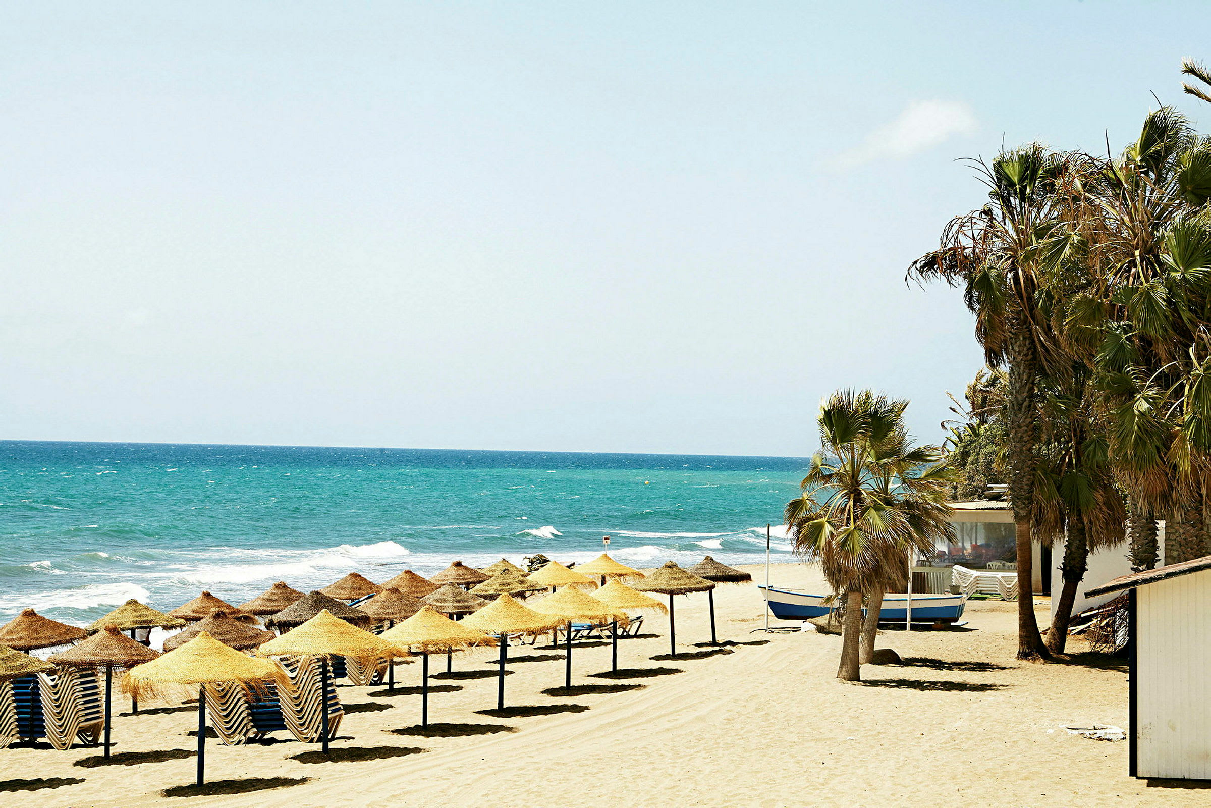 Strand med parasoller, solstolar och palmer vid havet. (AI-genererad text)