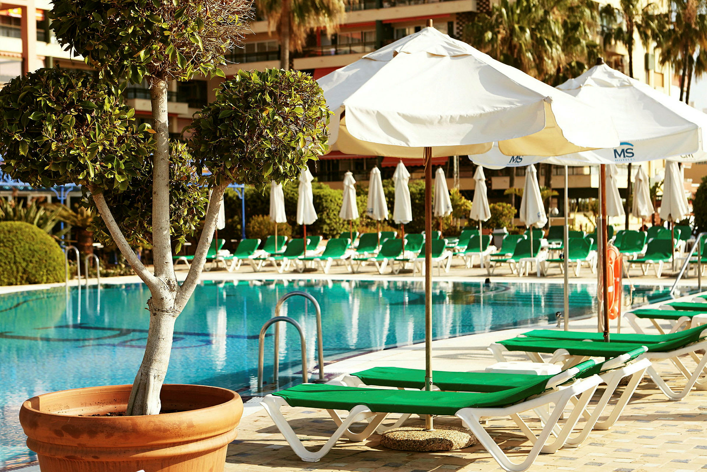 En pool med solstolar och parasoller i en hotellmiljö. (AI-genererad text)