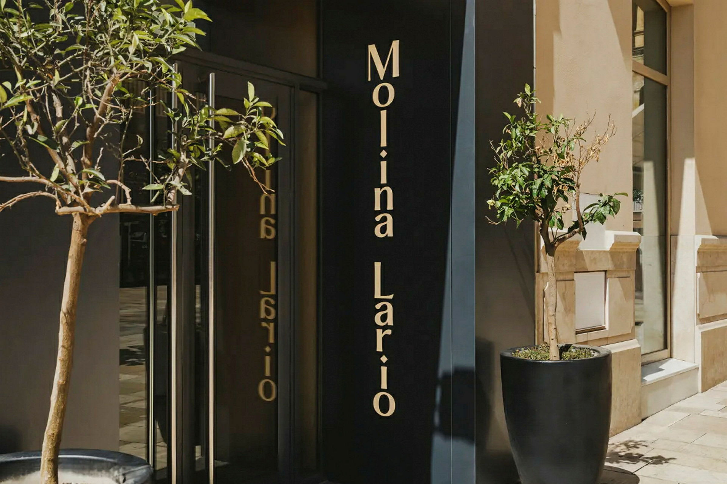 Entré med glasdörrar, växter i stora krukor och en skylt med texten "Molina Lario". (AI-genererad text)