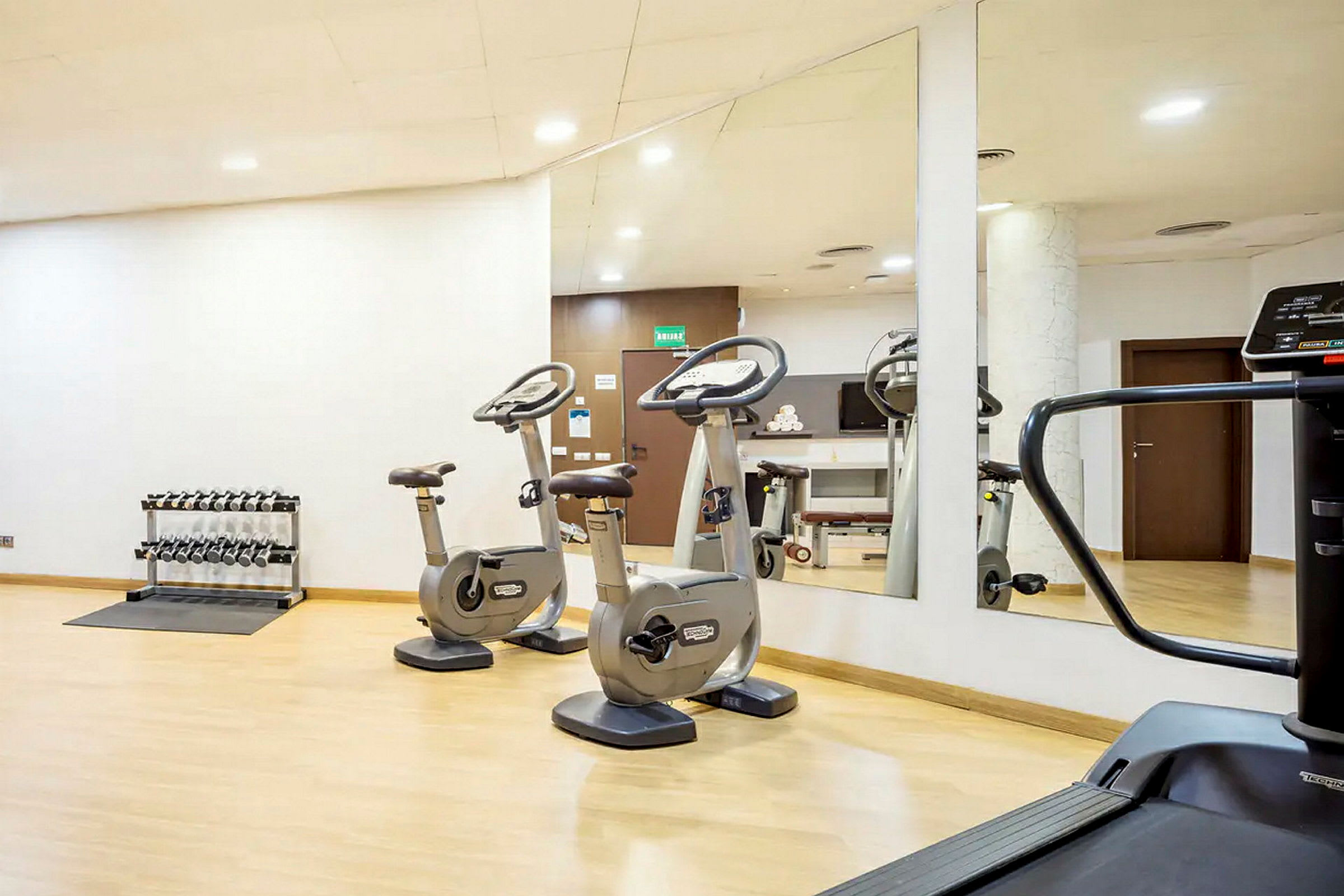 Ett gym med träningscyklar, löpband, vikter och spegelvägg. (AI-genererad text)