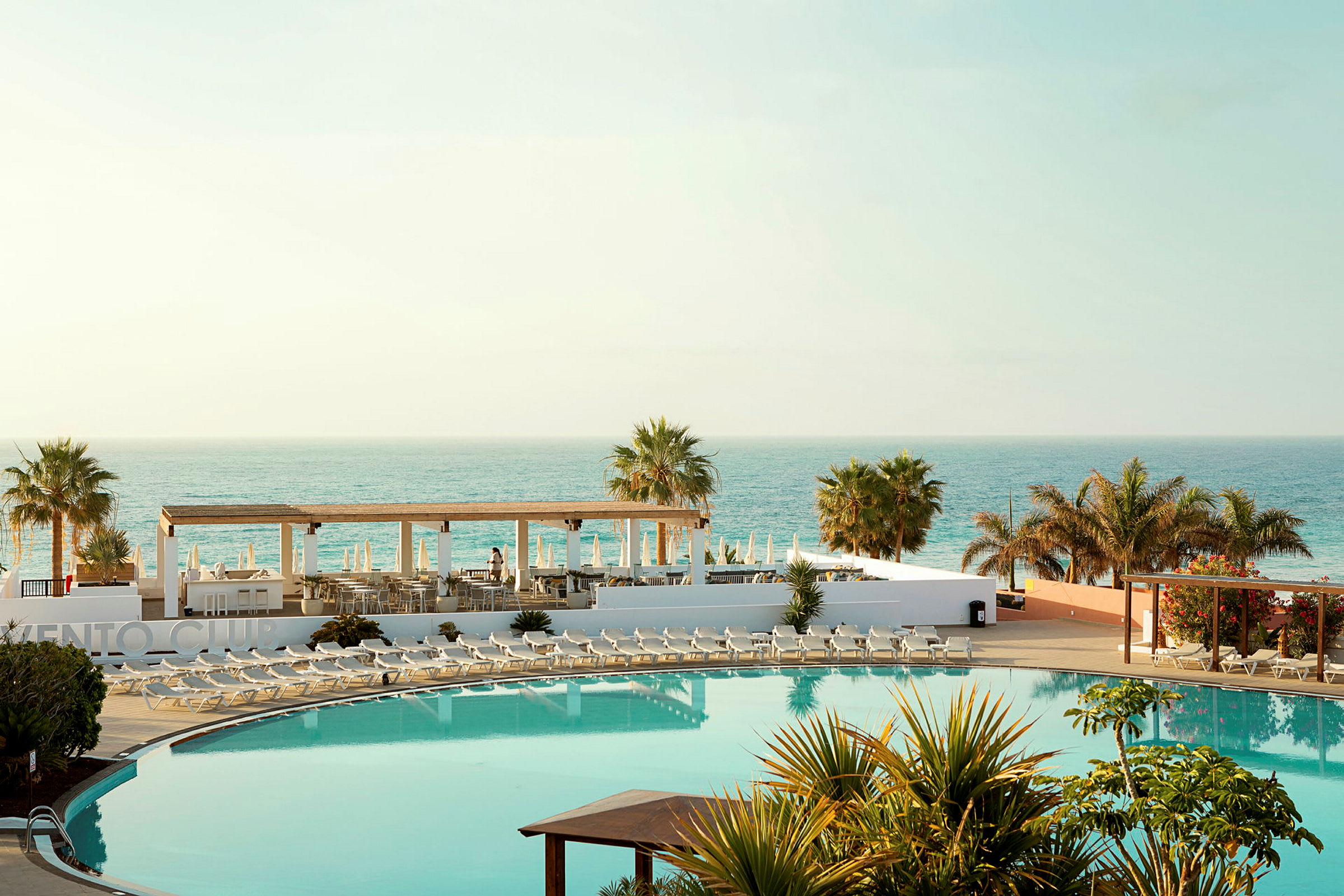 Hotellområde med swimmingpool, solstolar, palmer och havsutsikt. (AI-genererad text)