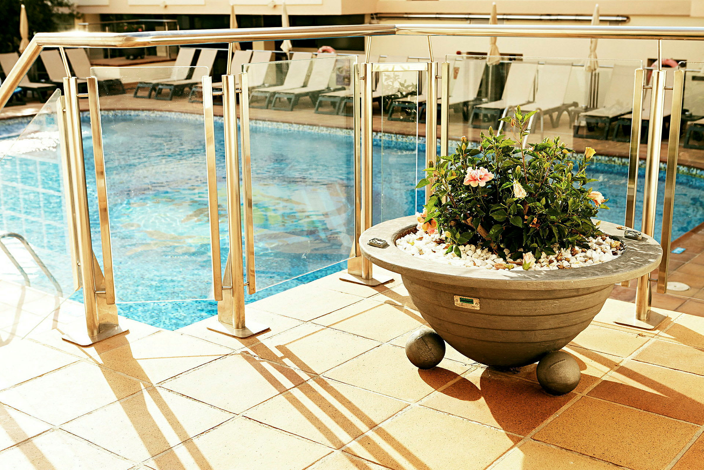 En swimmingpool omgiven av vilstolar och en kruka med blommor i förgrunden. (AI-genererad text)