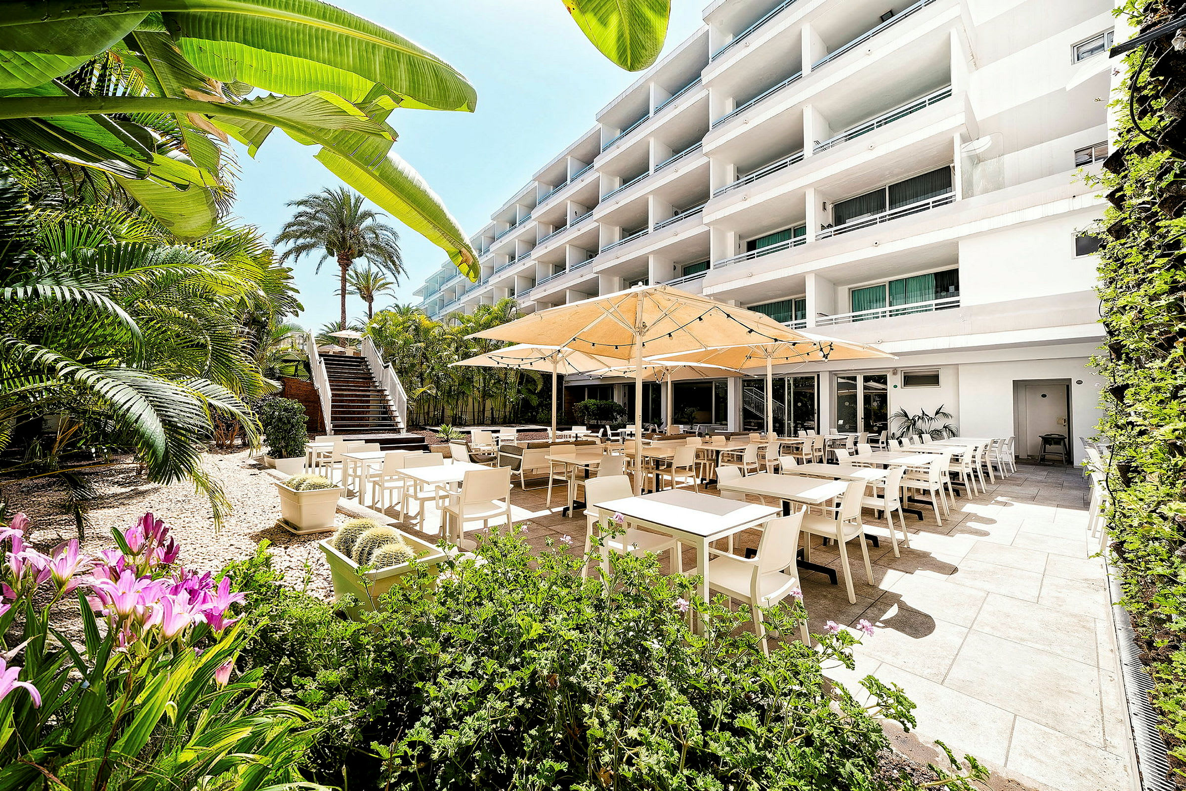 Bild av en hotellterrass med vita stolar och bord under en stor parasoll, omgivna av tropiska växter och en byggnad i bakgrunden. (AI-genererad text)